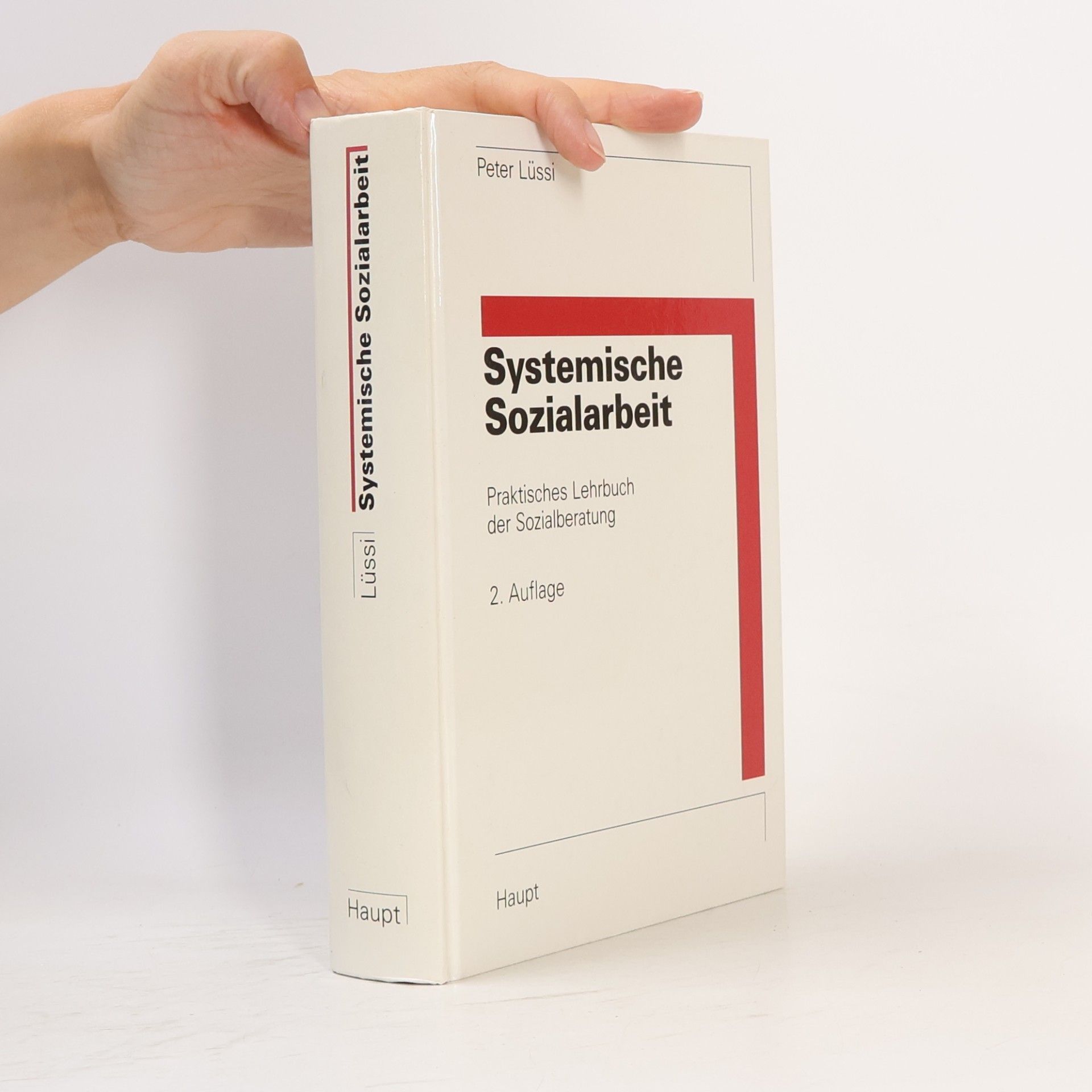 Peter Lüssi Systemische Sozialarbeit