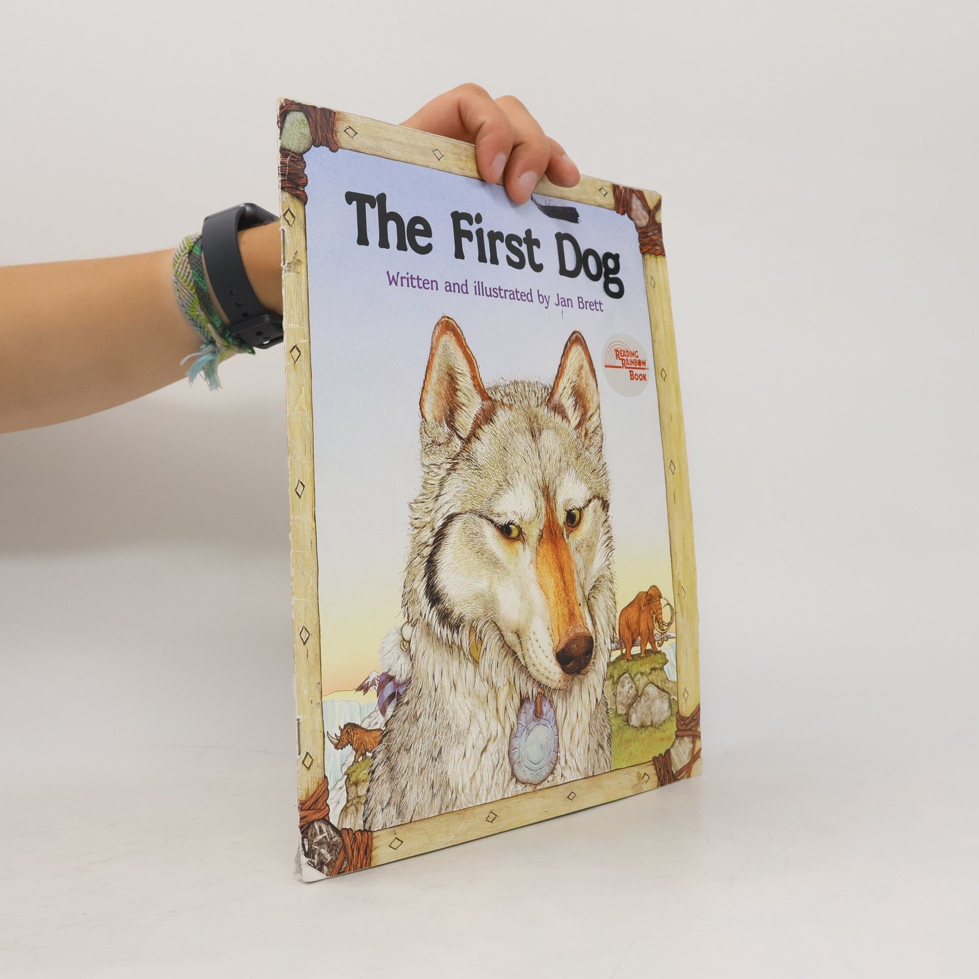 Jan Brett The First Dog