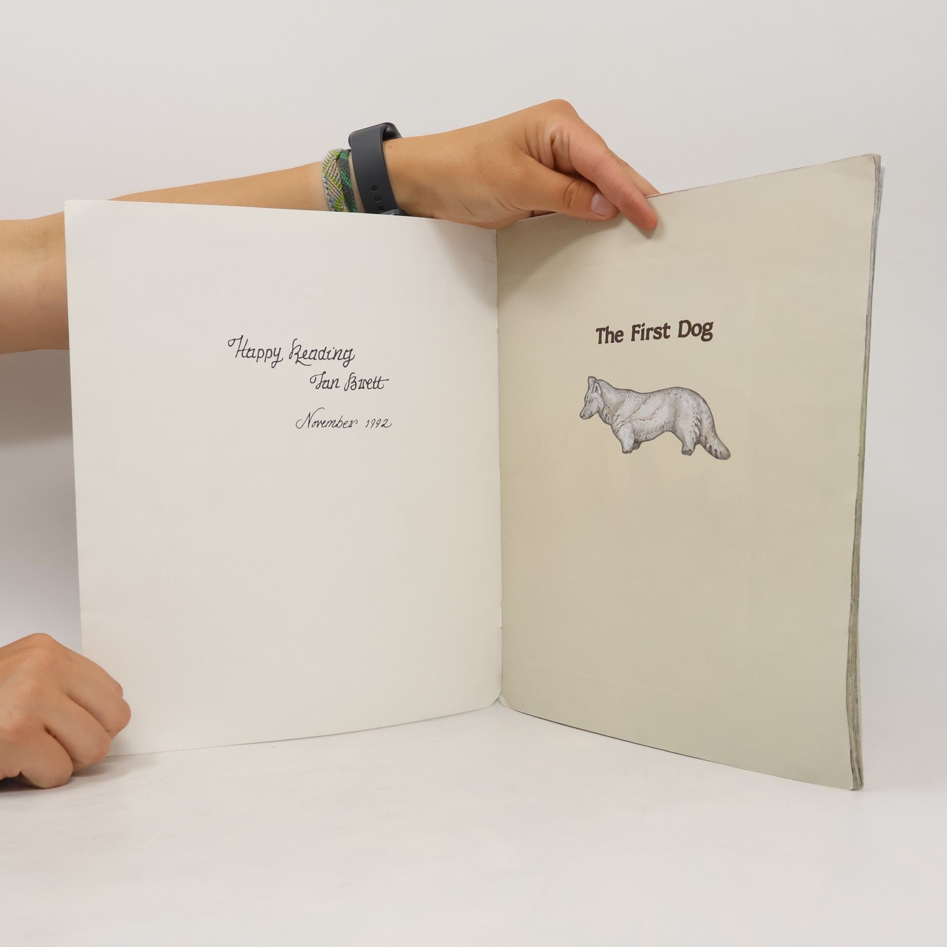 Jan Brett The First Dog