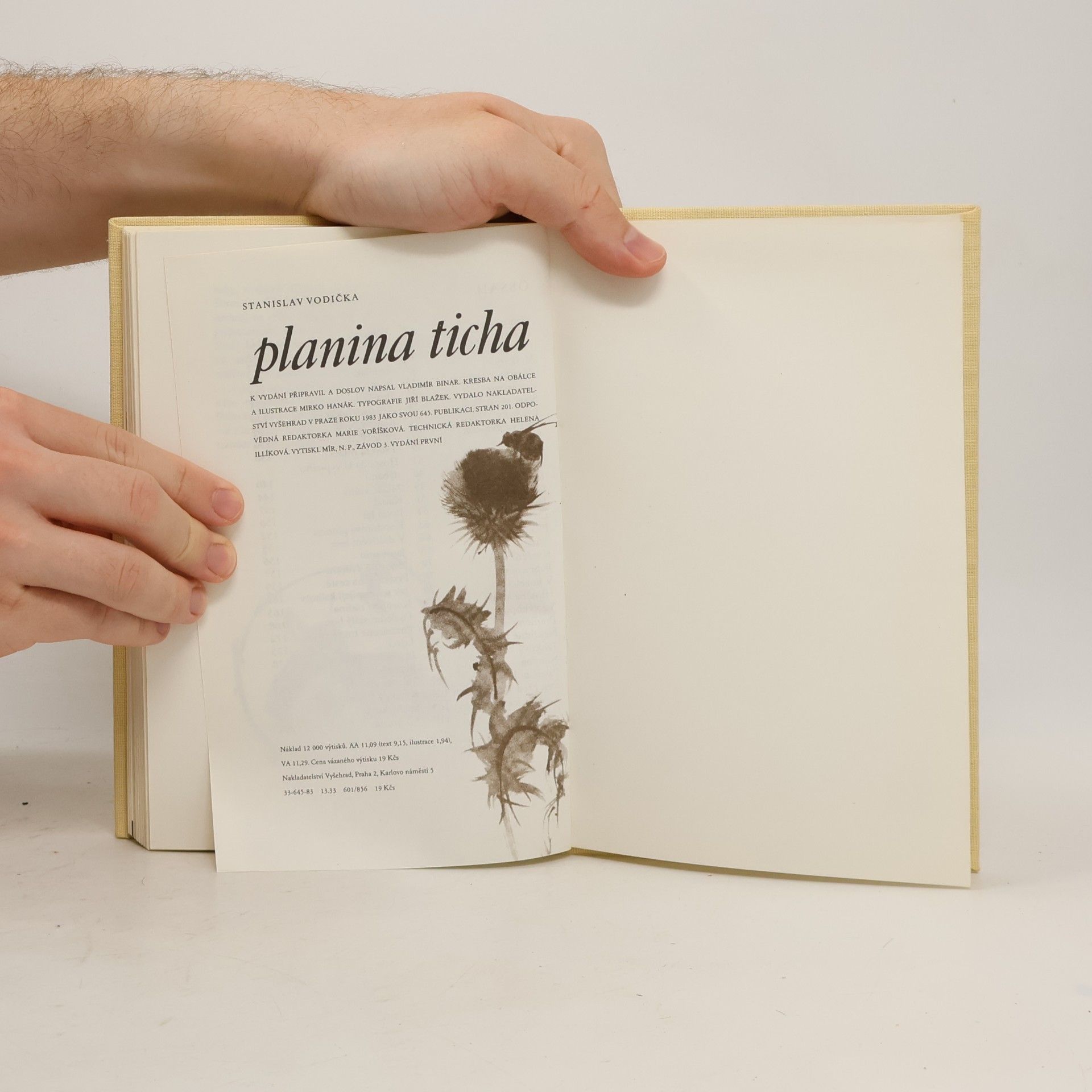 Stanislav Vodička Planina ticha