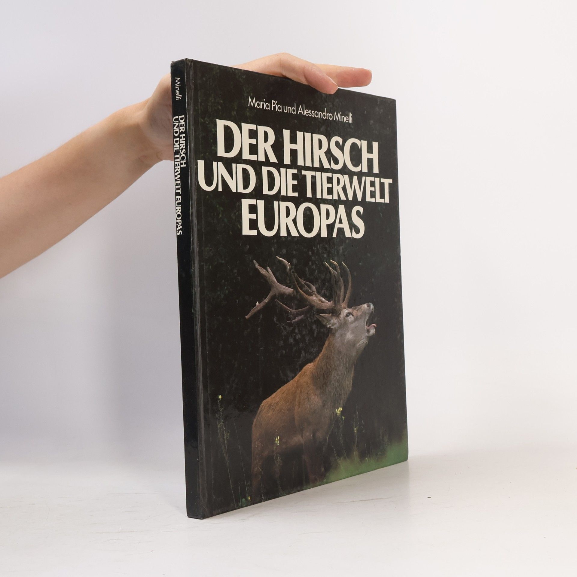 Maria Pia Minelli Der Hirsch und die Tierwelt Europas