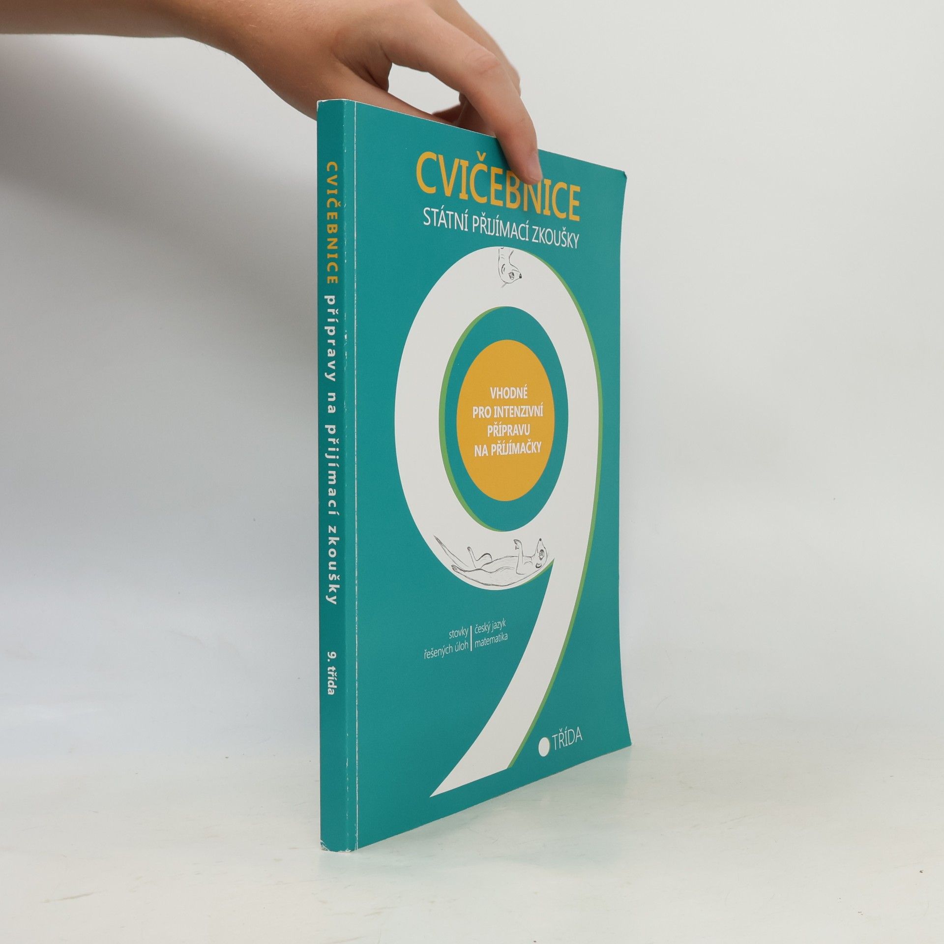 Autorenkollektiv Cvičebnice 9 - státní přijímací zkoušky