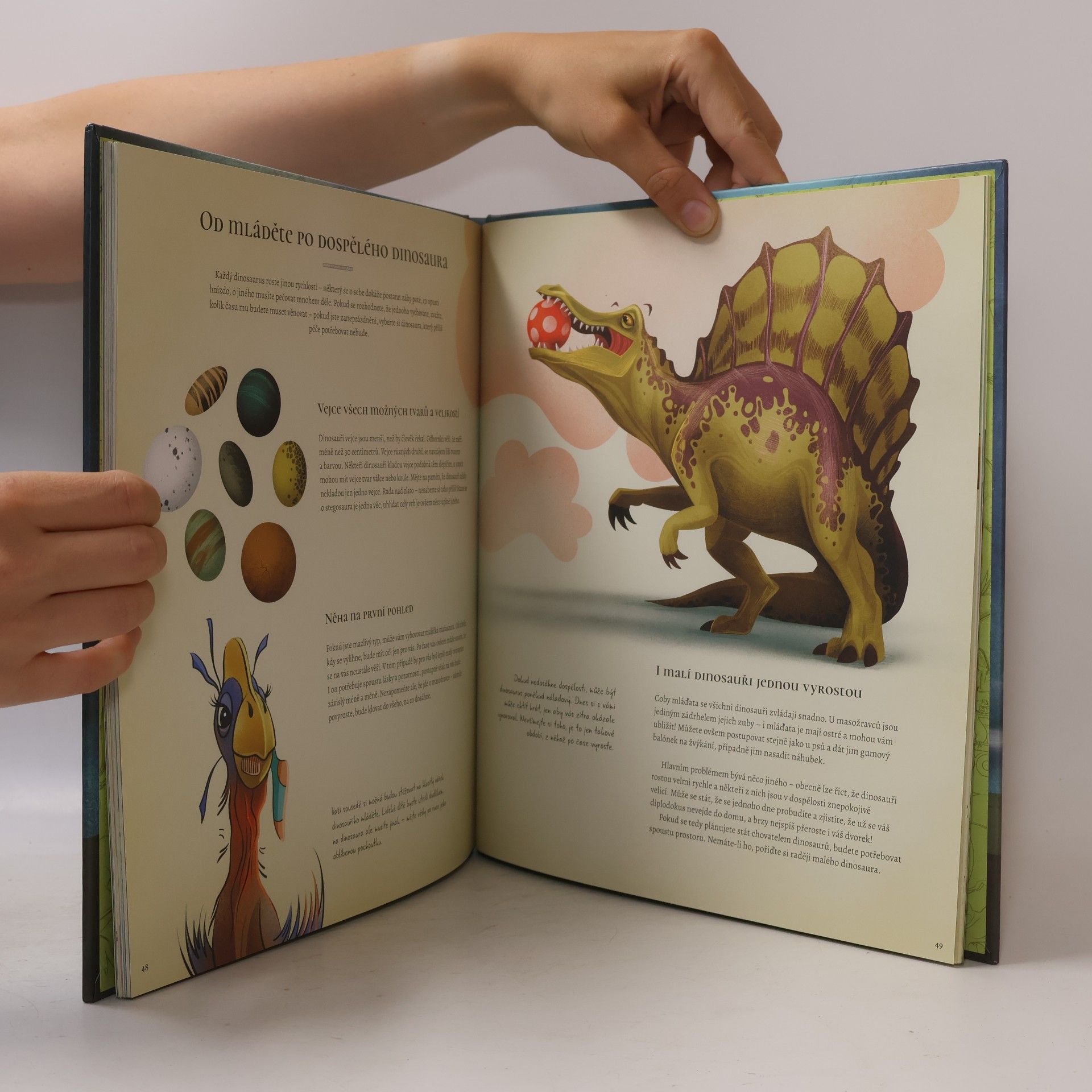 Federica Magrin Kniha plná dinosaurů : příručka zkušeného chovatele