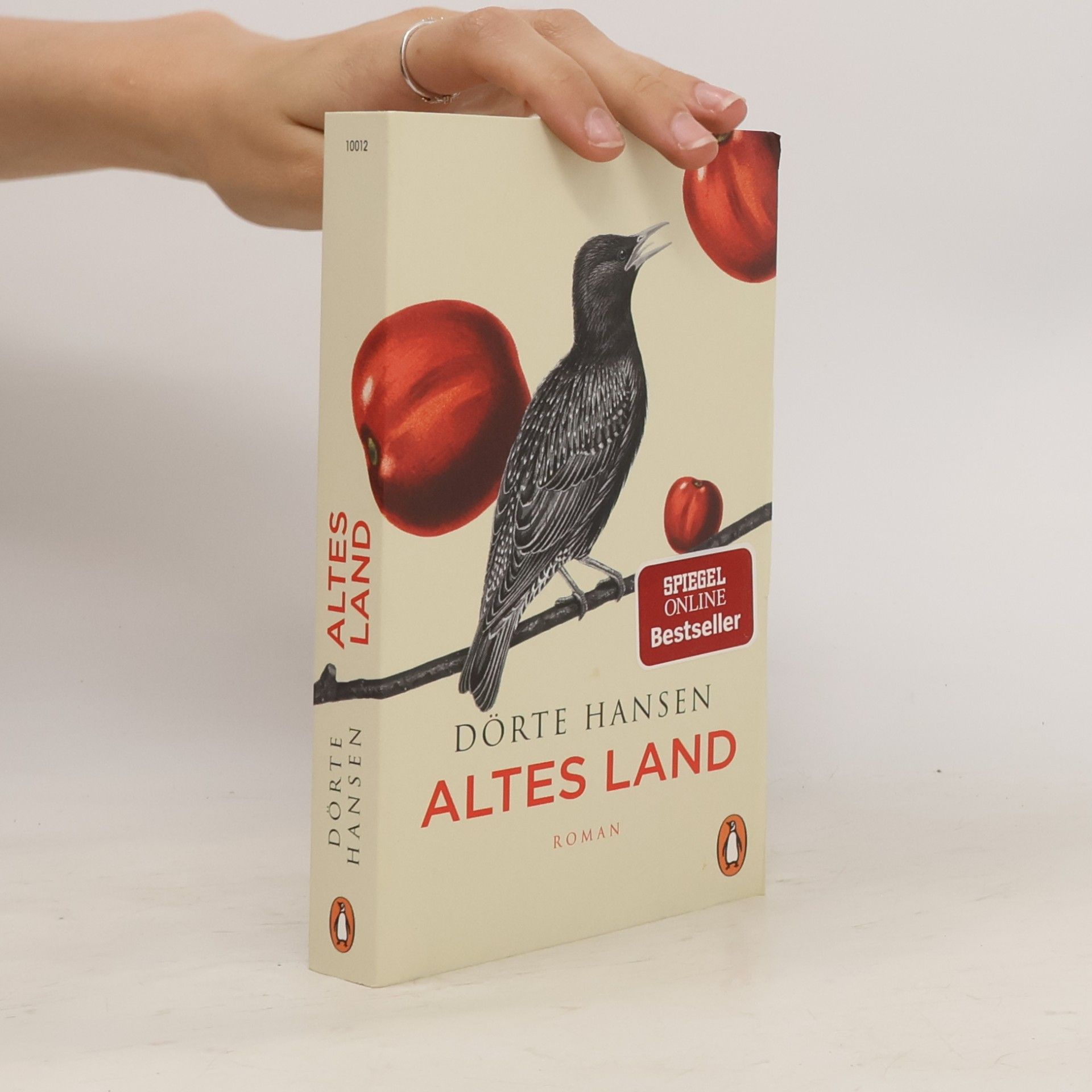 Dörte Hansen Altes Land