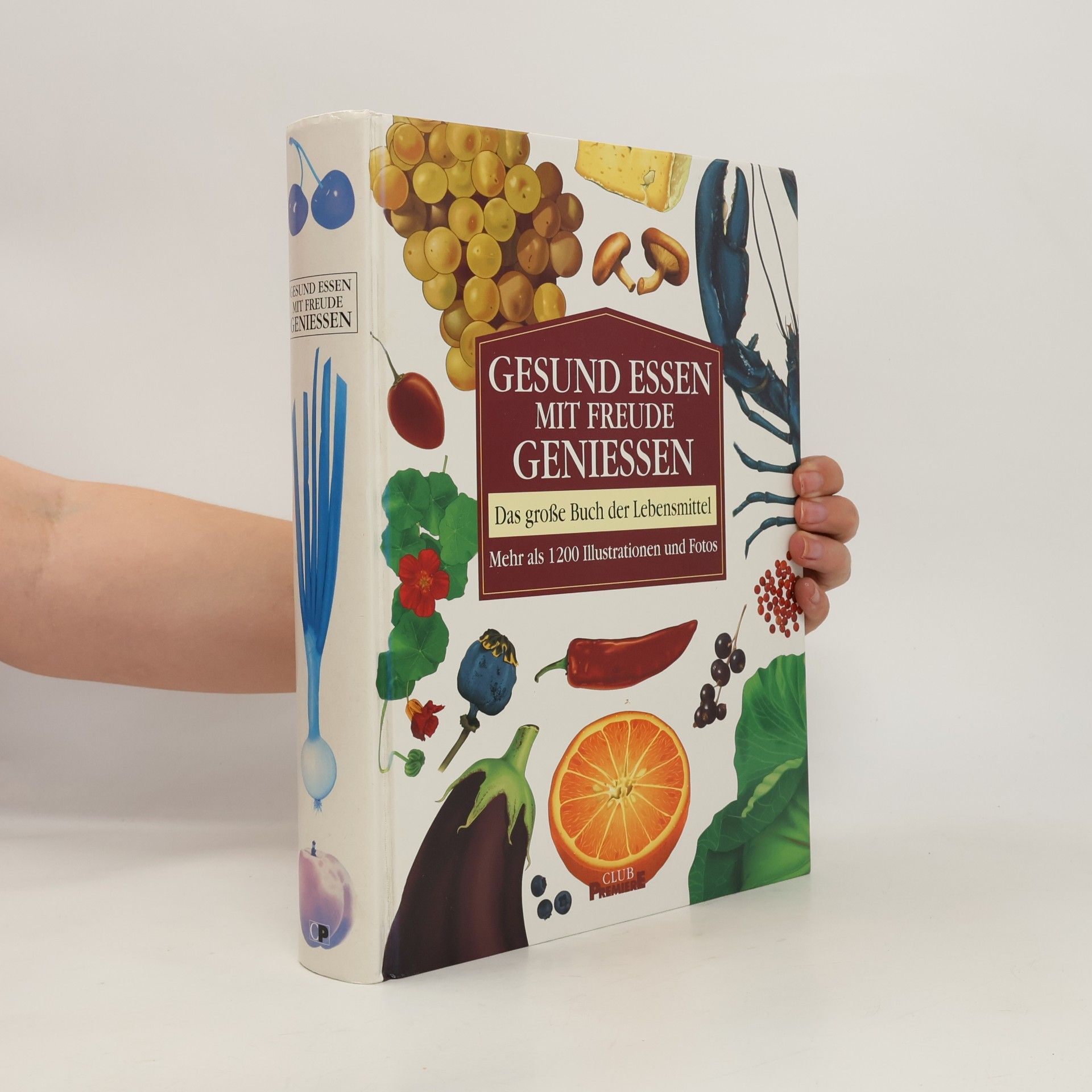 Kolektiv autorů Gesund essen mit freude geniessen