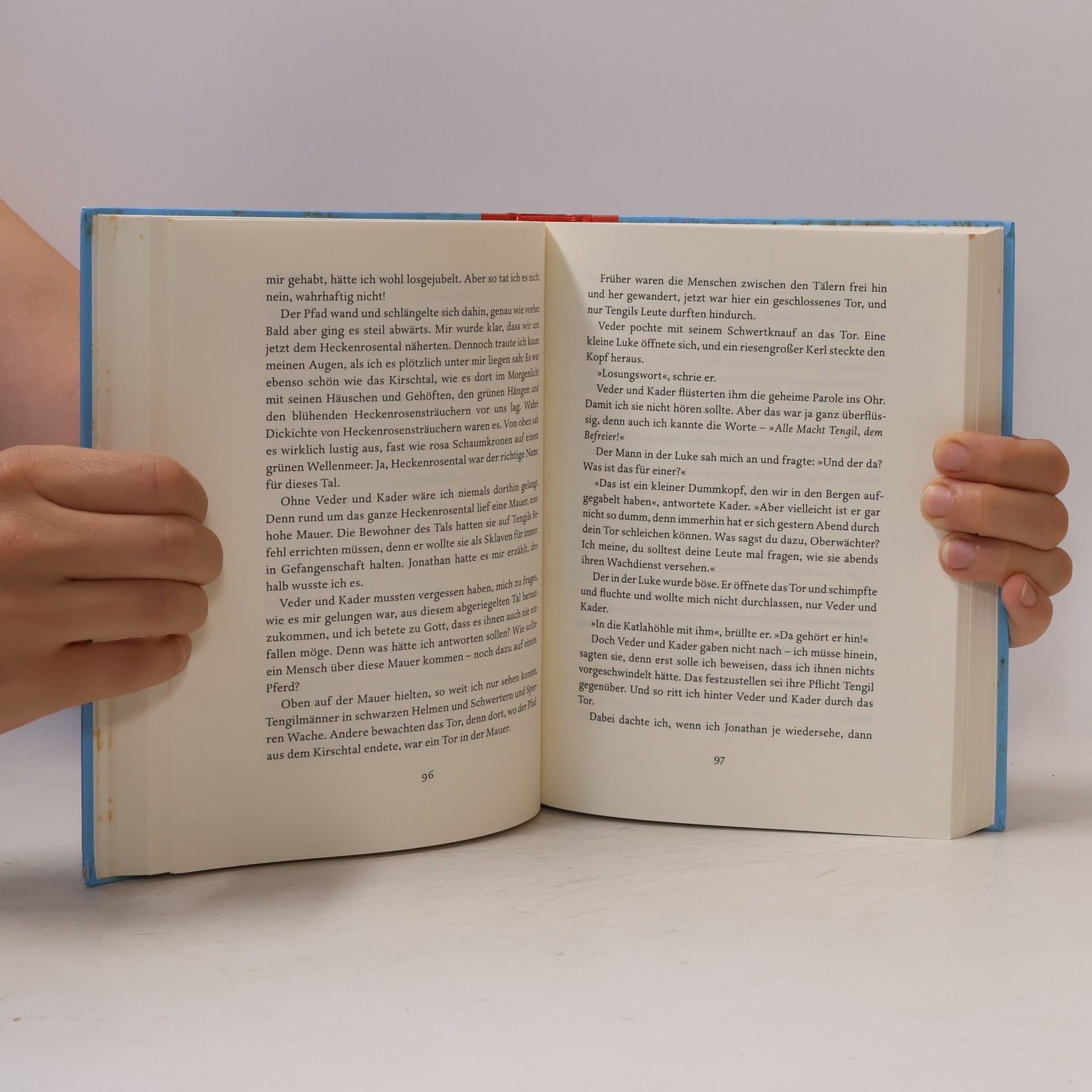 Astrid Lindgrenová Die Brüder Löwenherz
