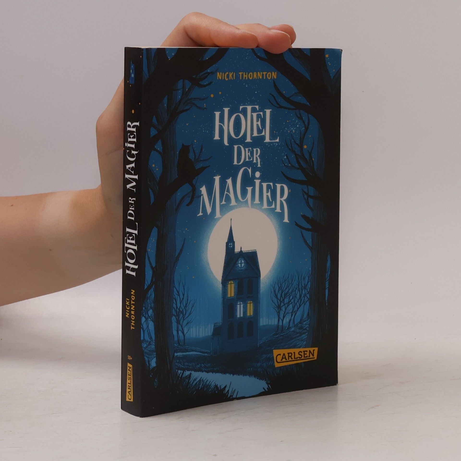 Nicki Thornton Hotel der Magier (Hotel der Magier 1)