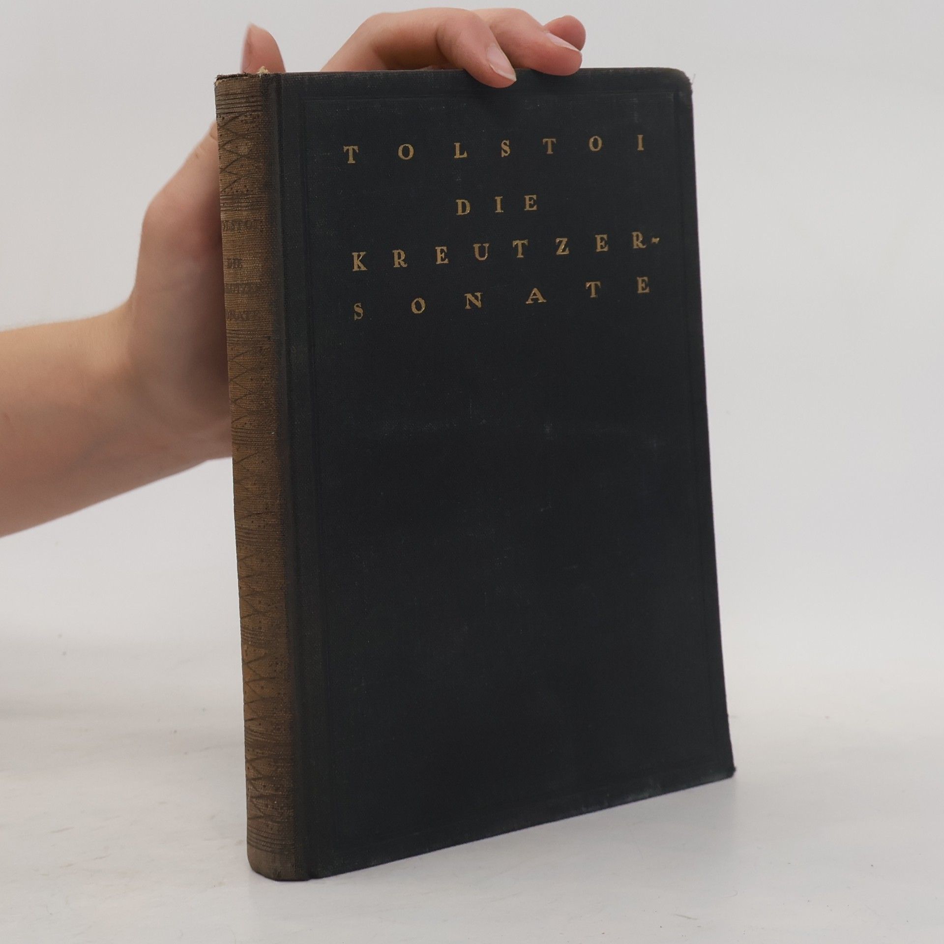 Lew Nikolajewitsch Tolstoi Kreutzer-Sonate und andere Novellen