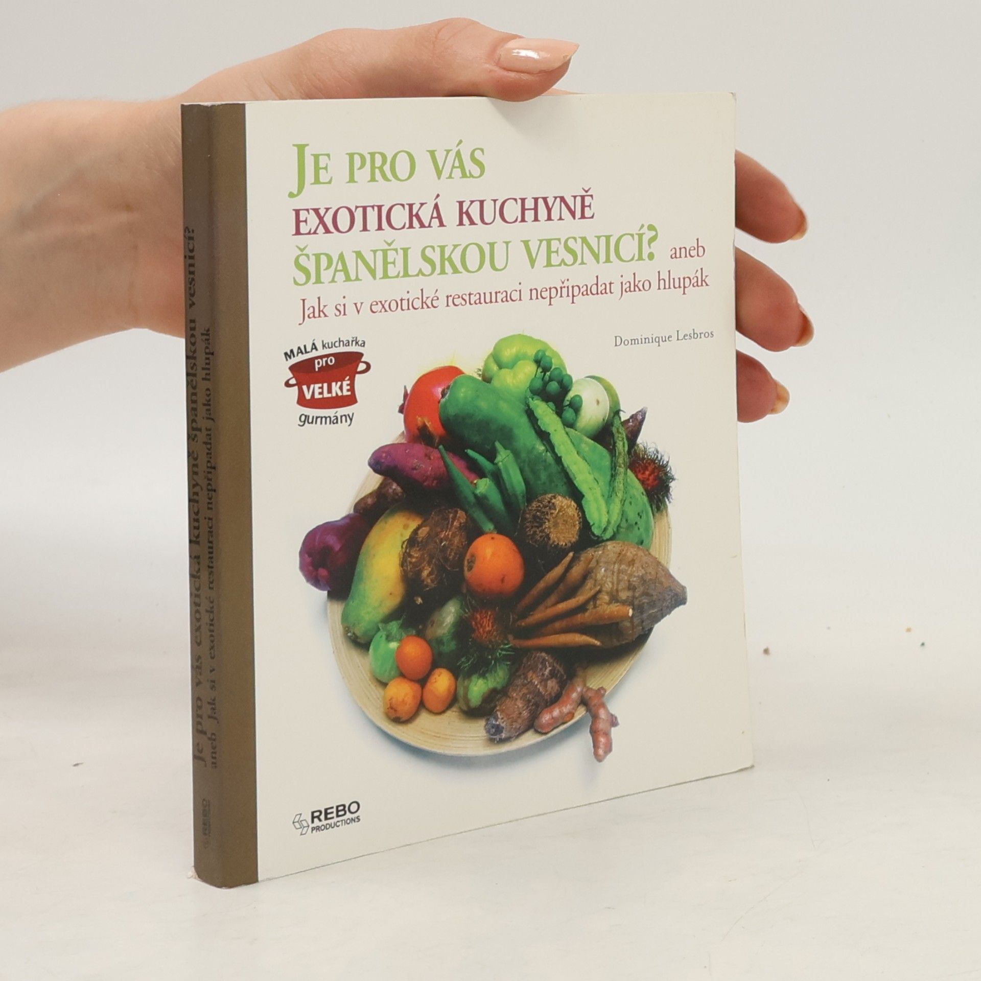 Dominique Lesbros Je pro vás exotická kuchyně španělskou vesnicí?