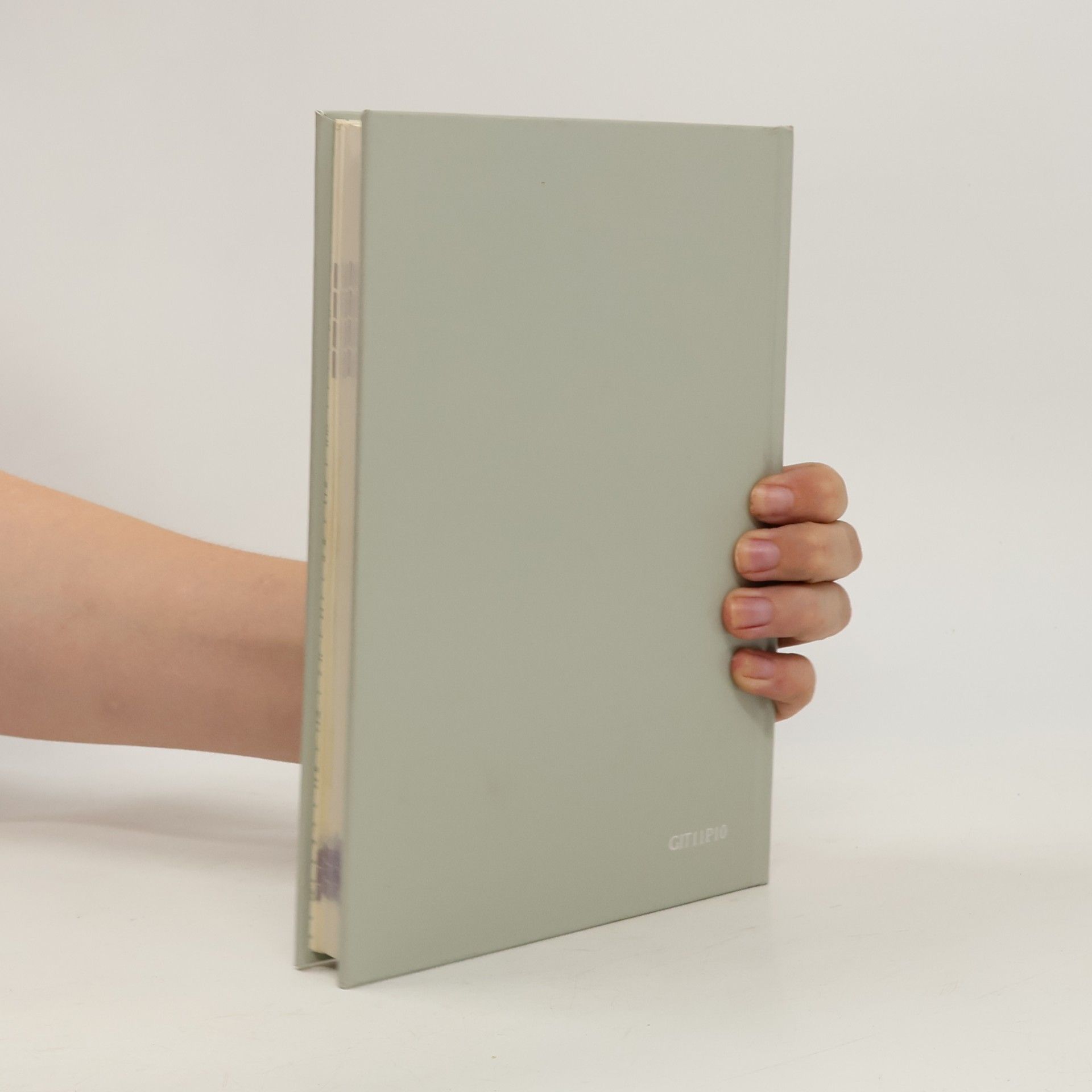 Autorenkollektiv Linguaphone Corso d'Italiano