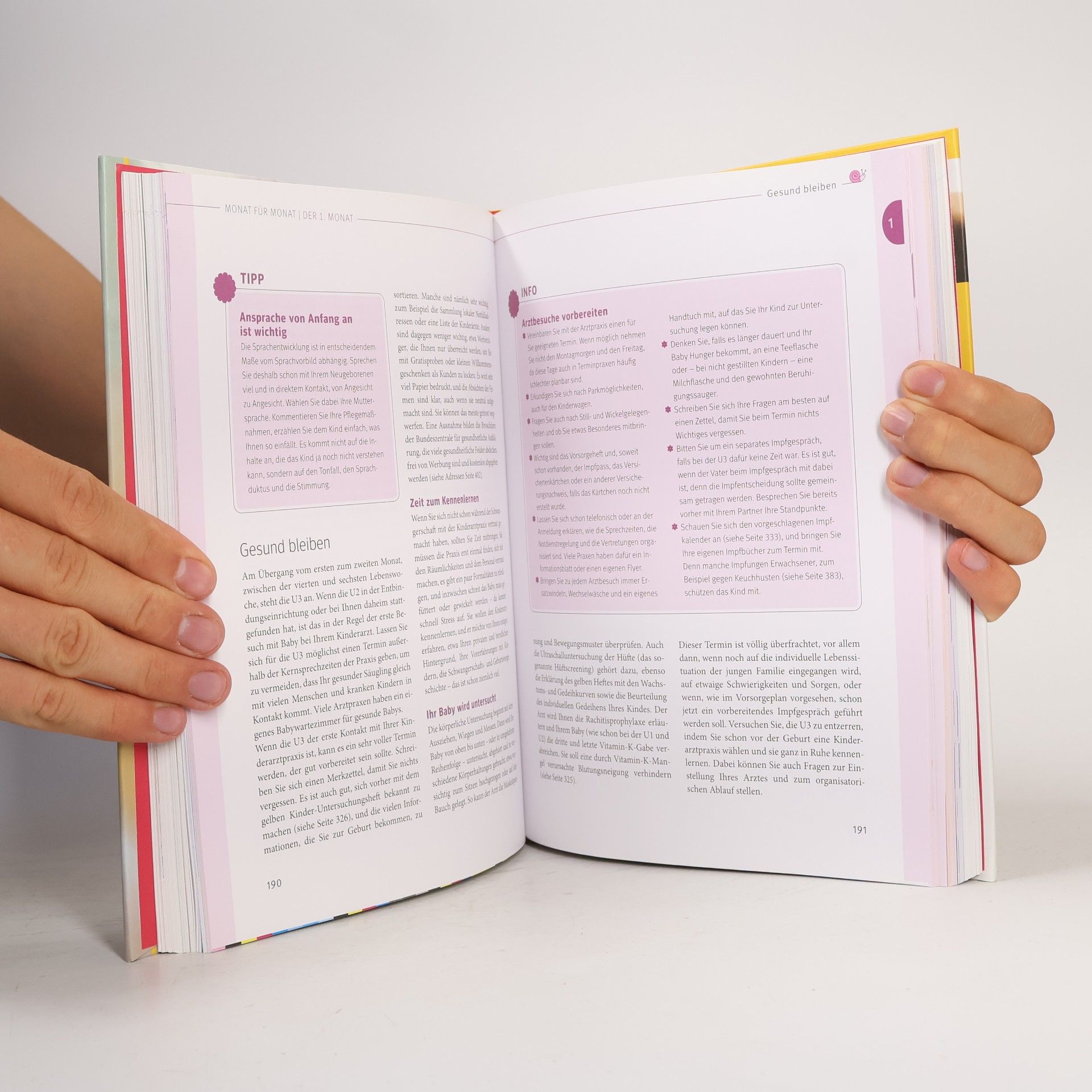 Stephan Heinrich Nolte Das große Buch für Babys erstes Jahr