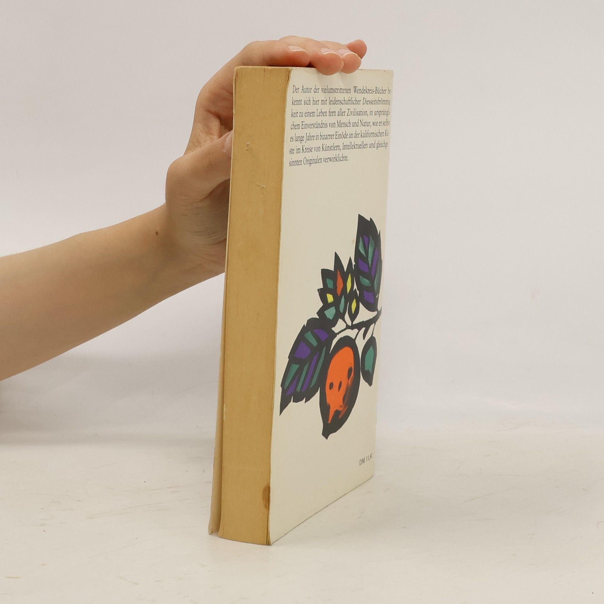 Henry Miller Big Sur und die Orangen des Hieronymus Bosch