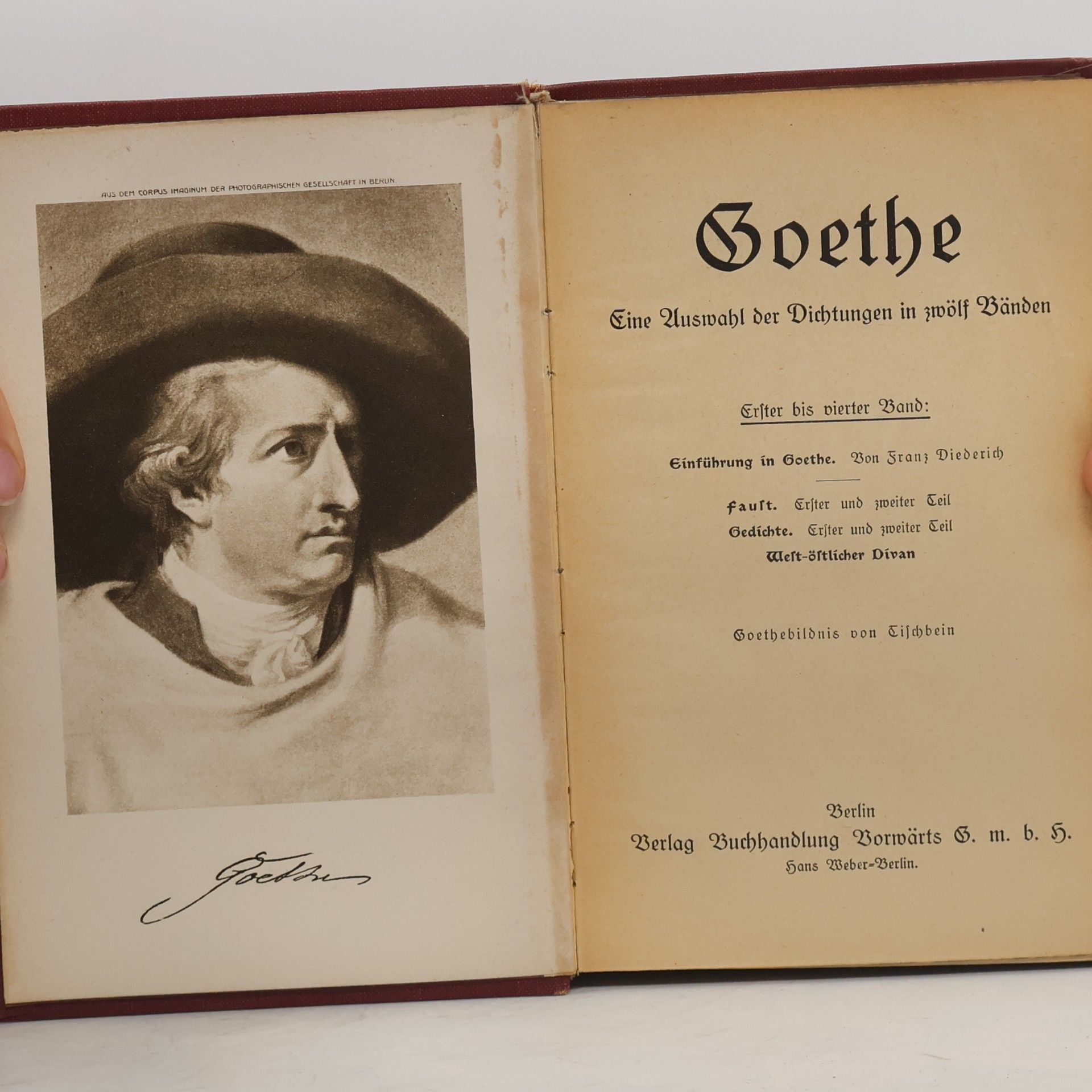 Johann Wolfgang von Goethe Goethe Eine Auswahl der Dichtungen in zwölf Bänden 1