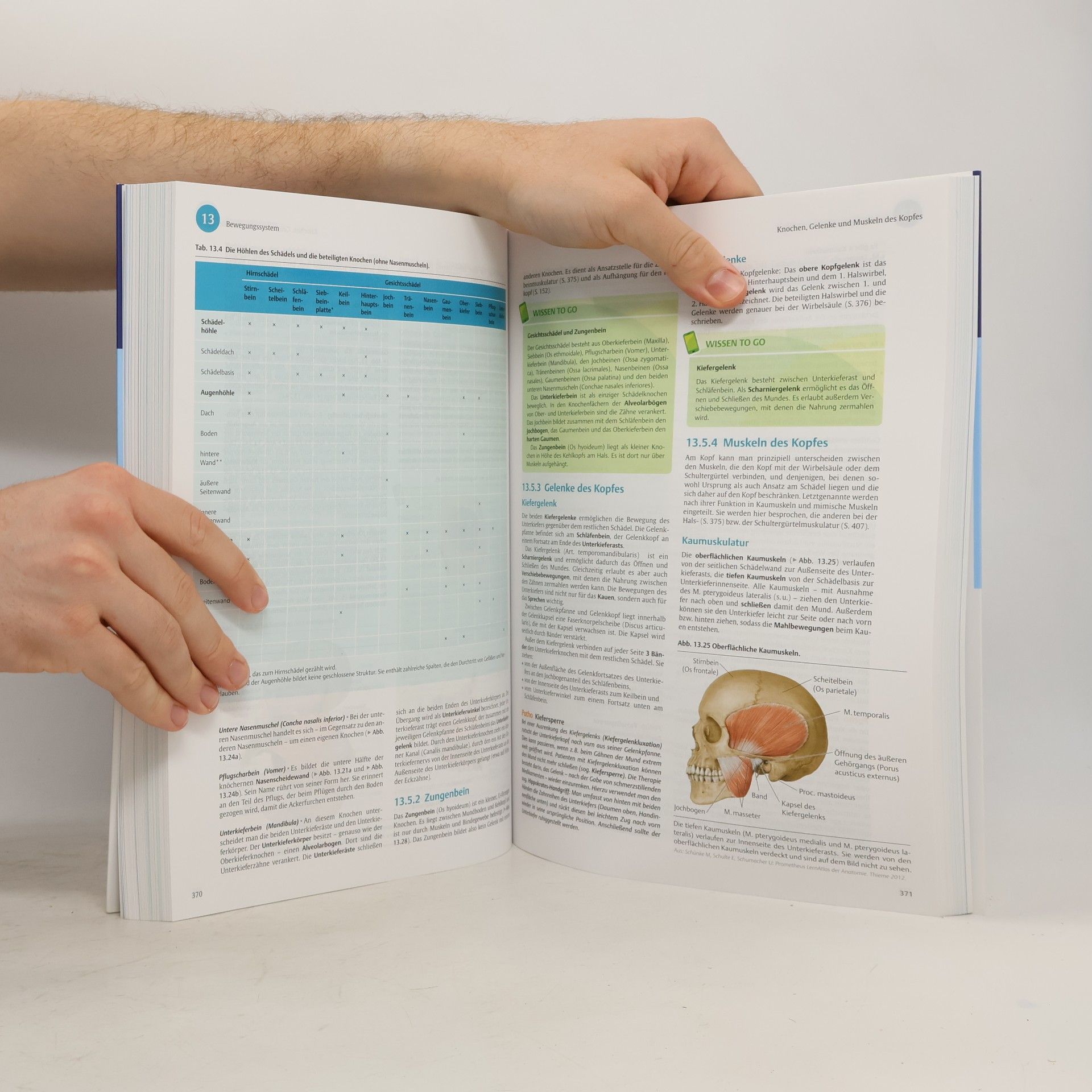 I care - Anatomie, Physiologie
