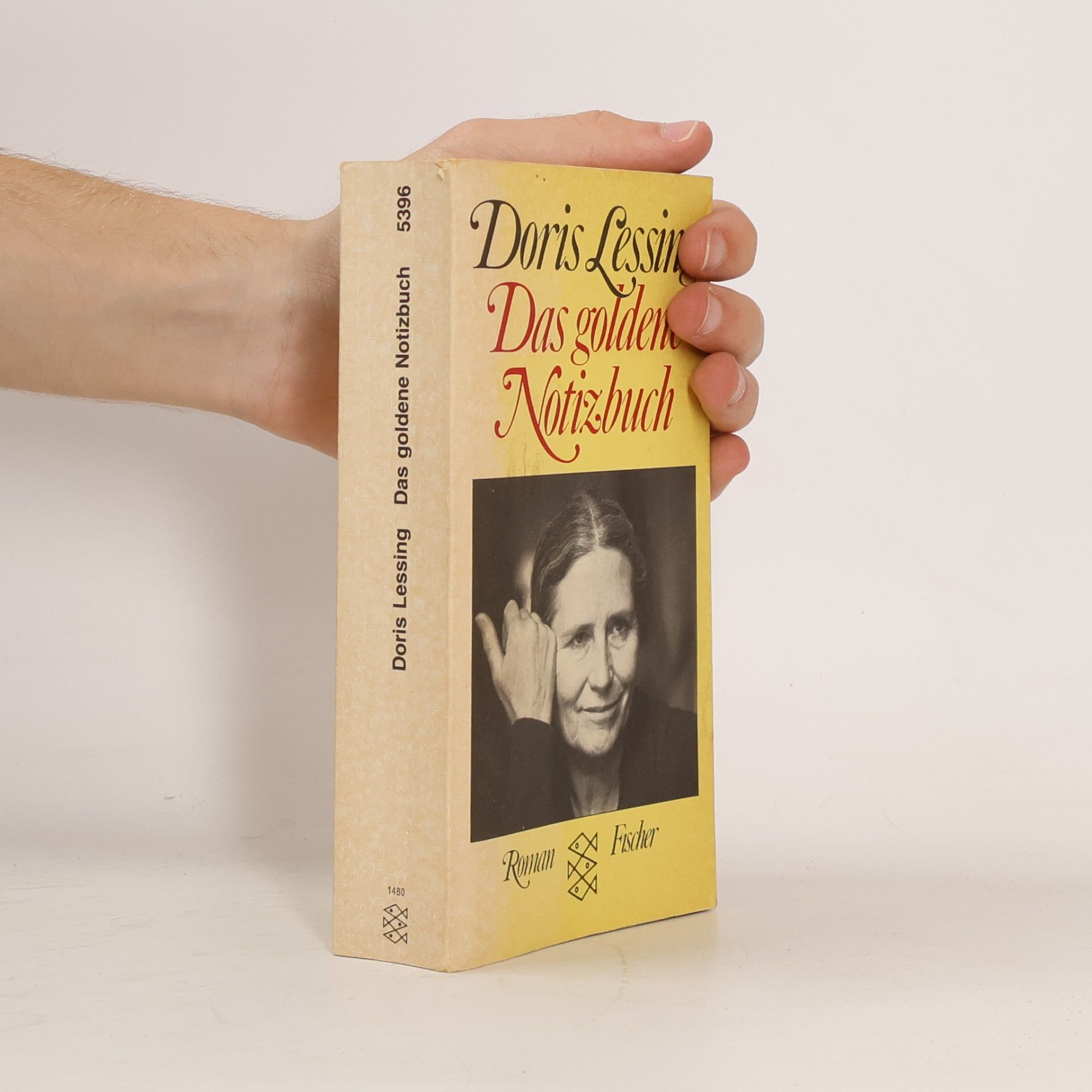 Doris Lessing Das goldene Notizbuch