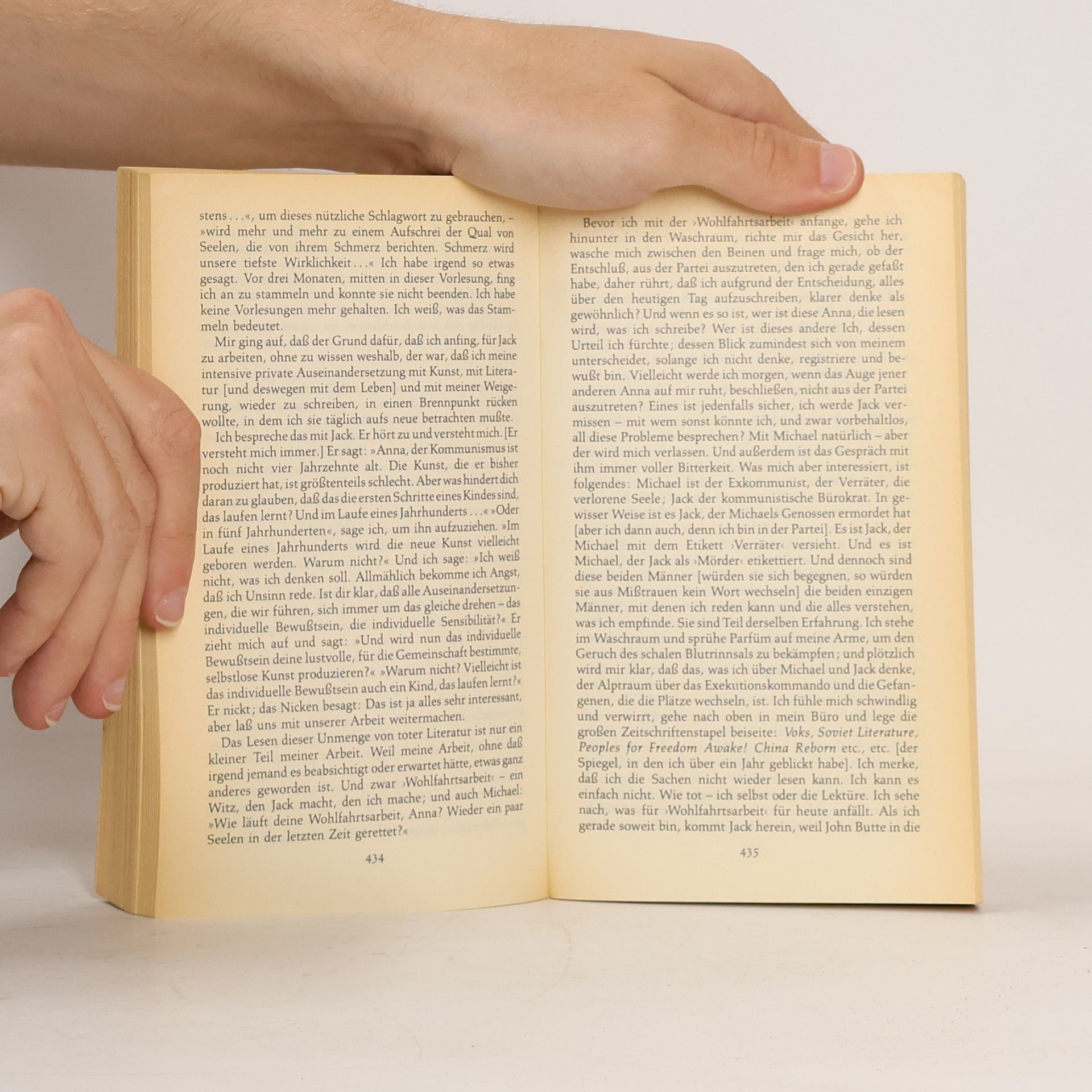 Doris Lessing Das goldene Notizbuch