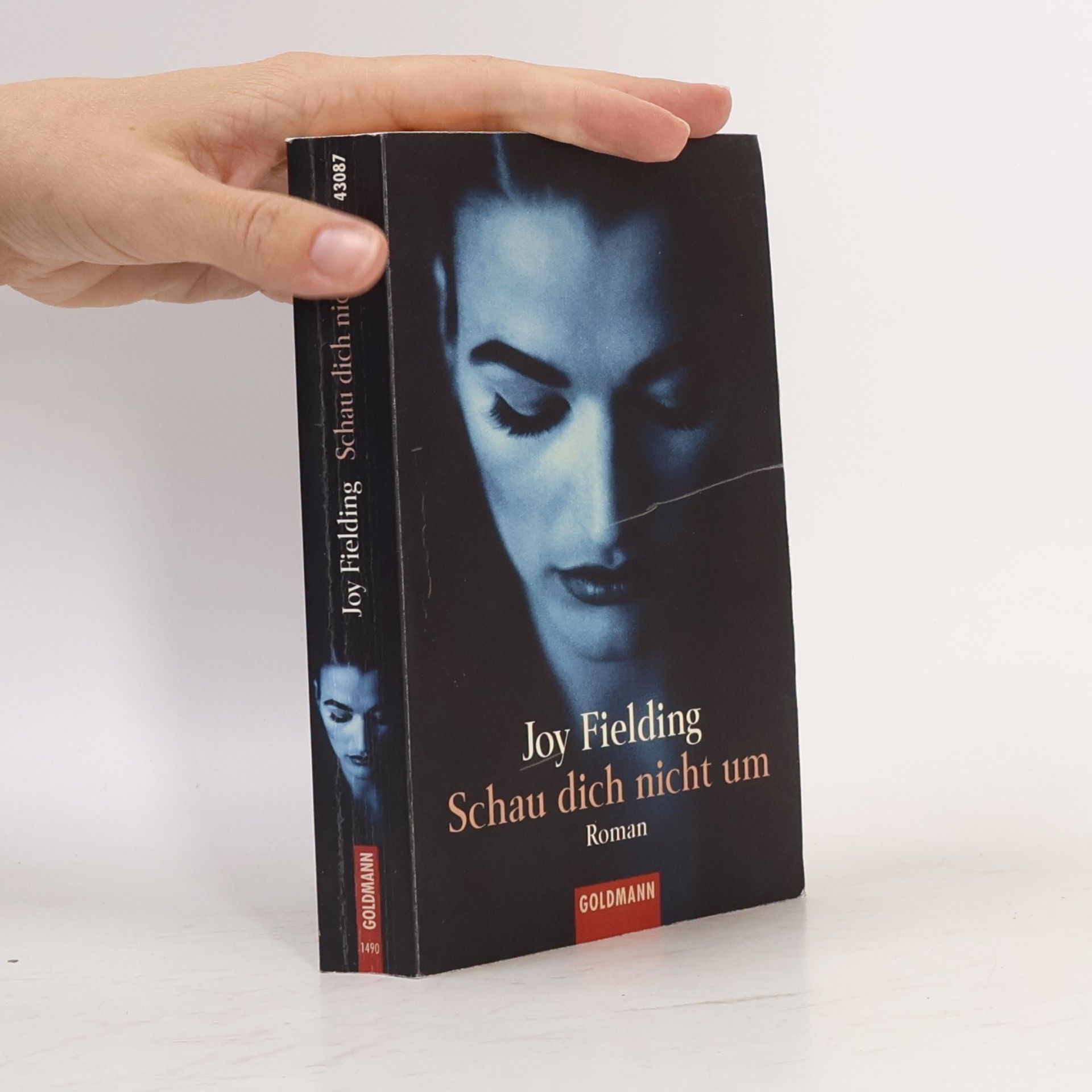 Joy Fielding Schau dich nicht um