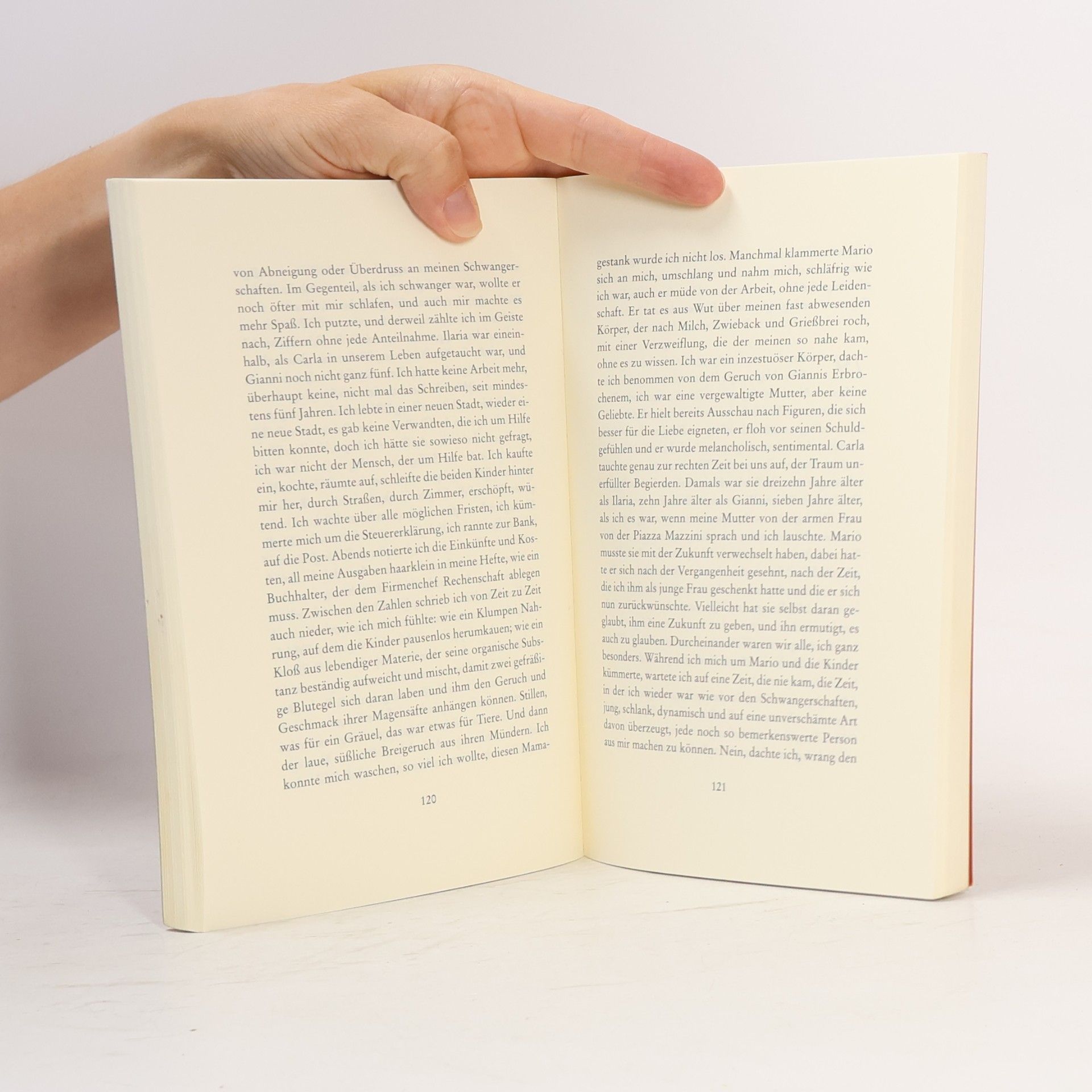 Elena Ferrante Tage des Verlassenwerdens