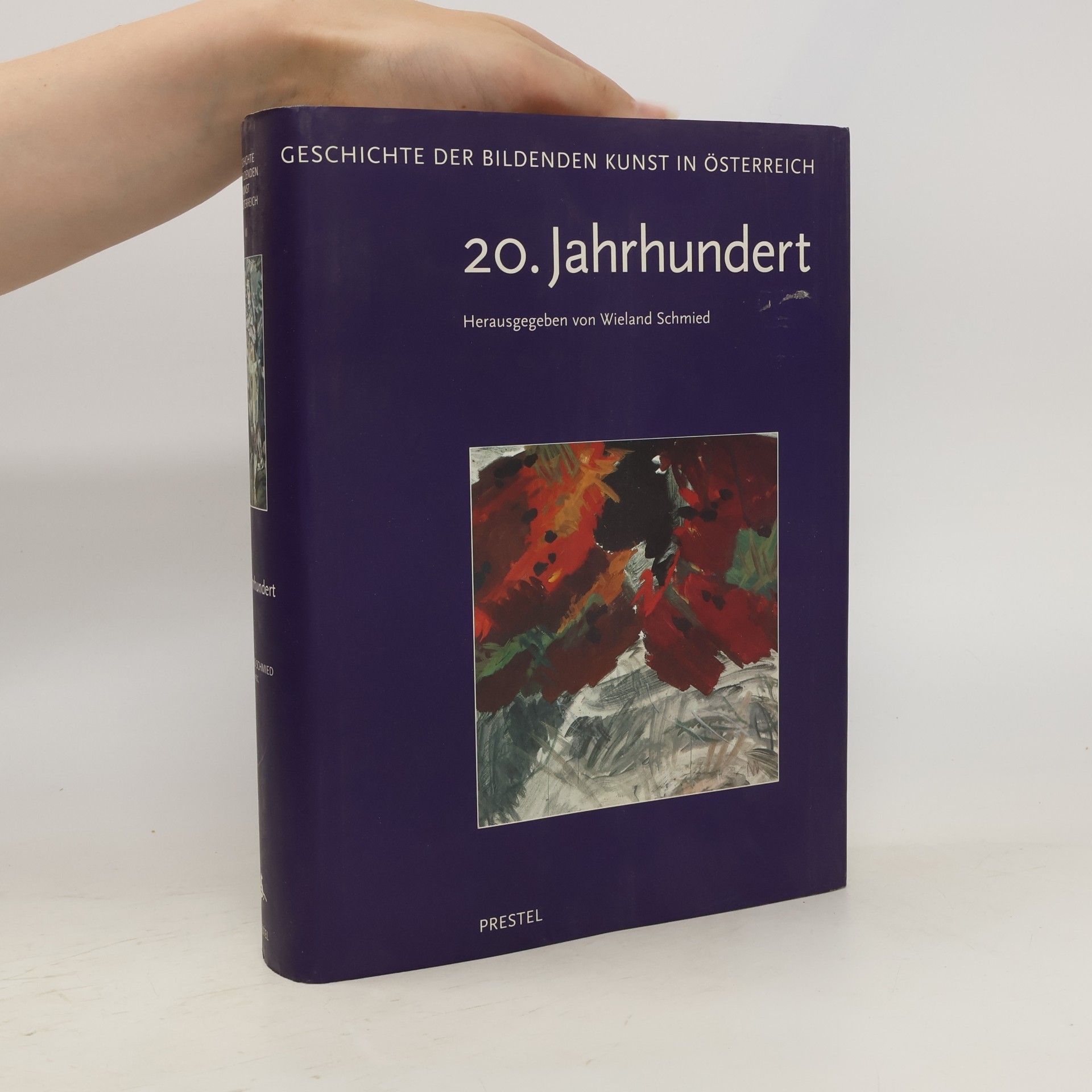 Geschichte der bildenden Kunst in Österreich VI : 20. Jahrhundert