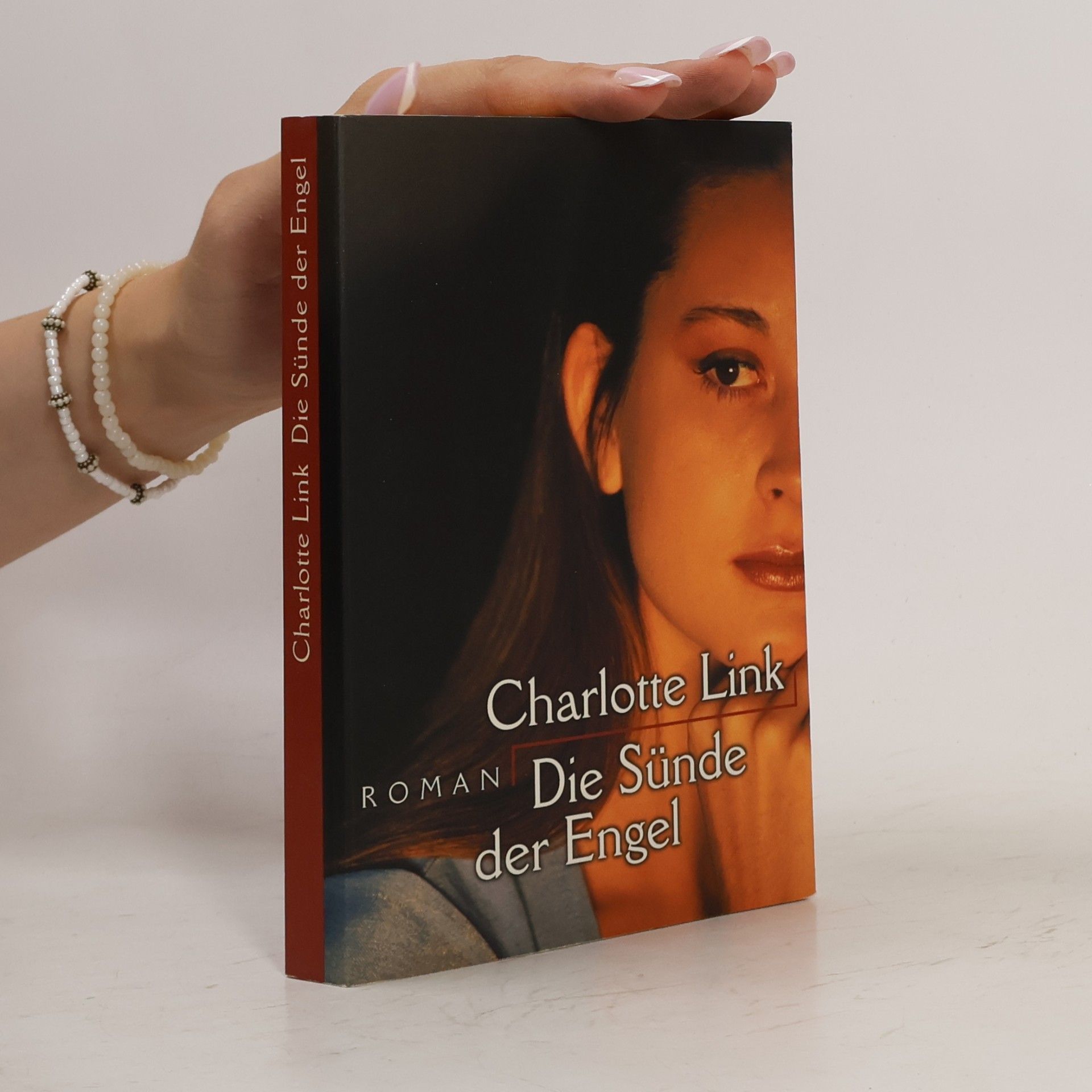 Charlotte Link Die Sünde der Engel