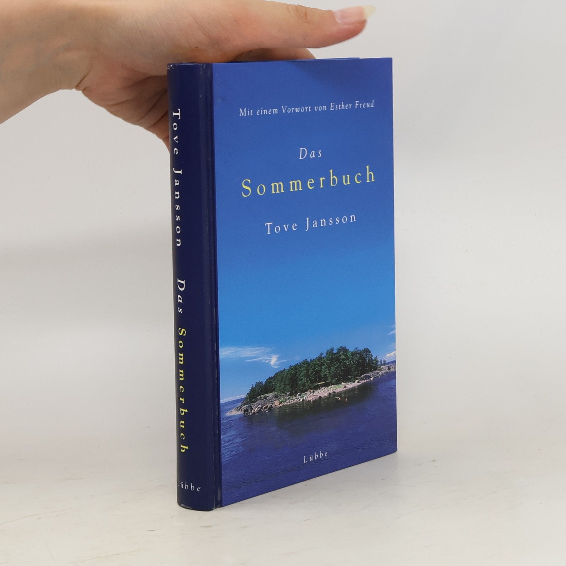 Tove Jansson Das Sommerbuch