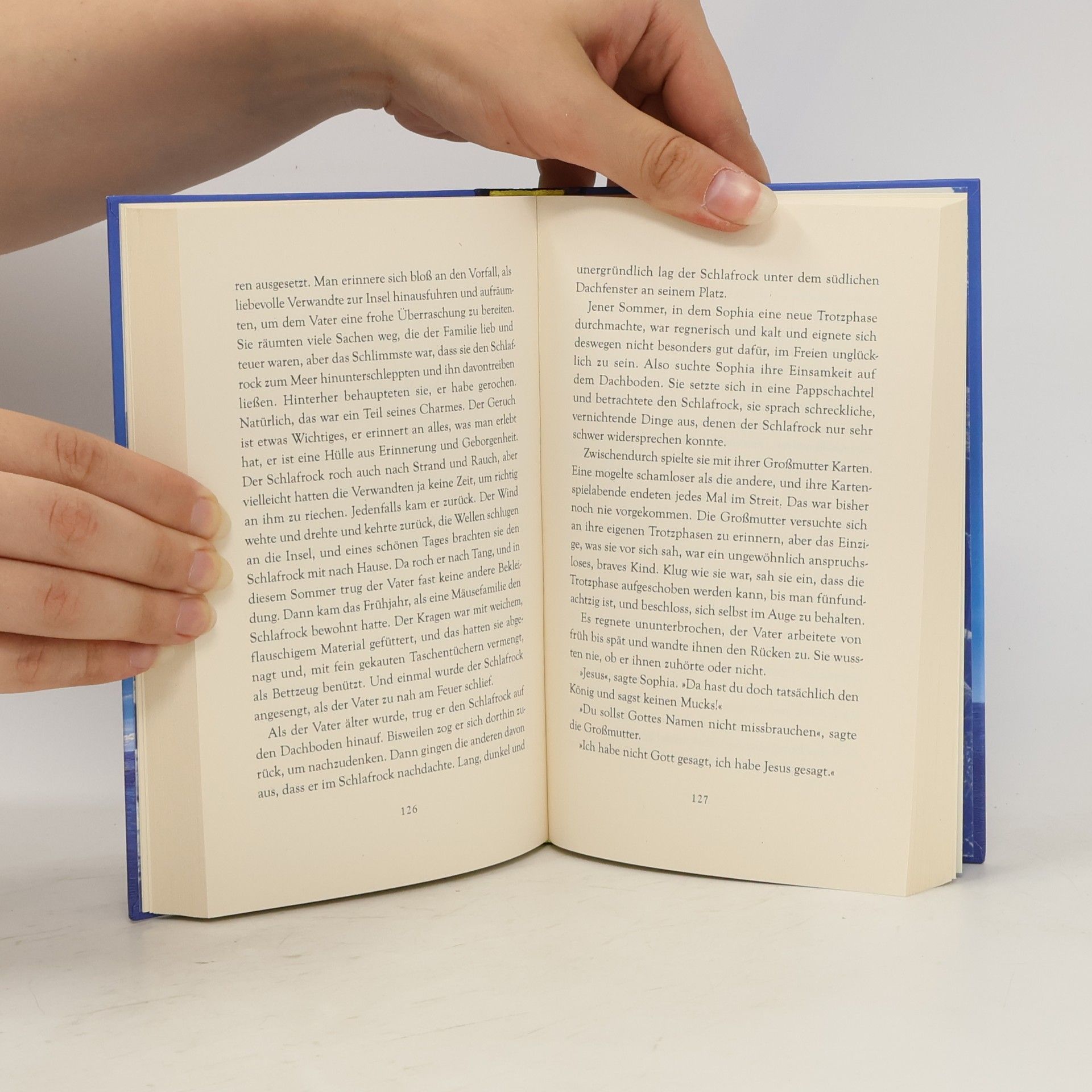 Tove Jansson Das Sommerbuch