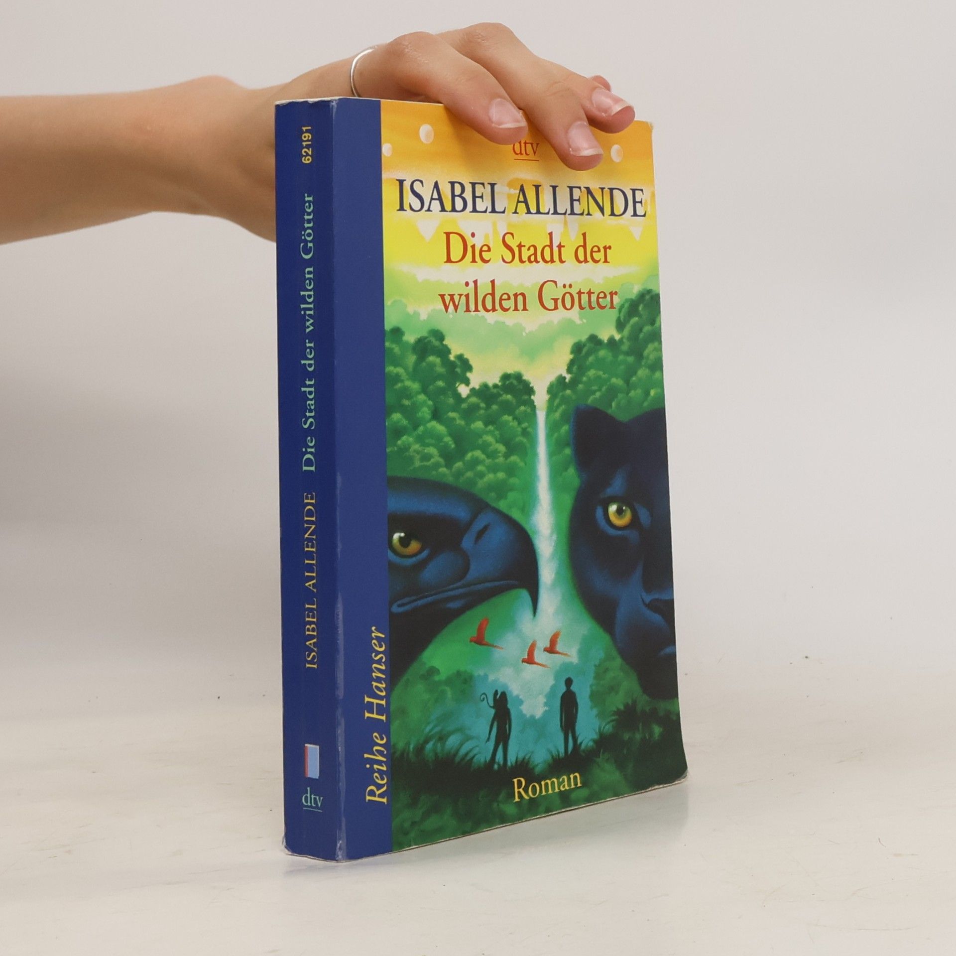 Isabel Allende Die Stadt der wilden Götter