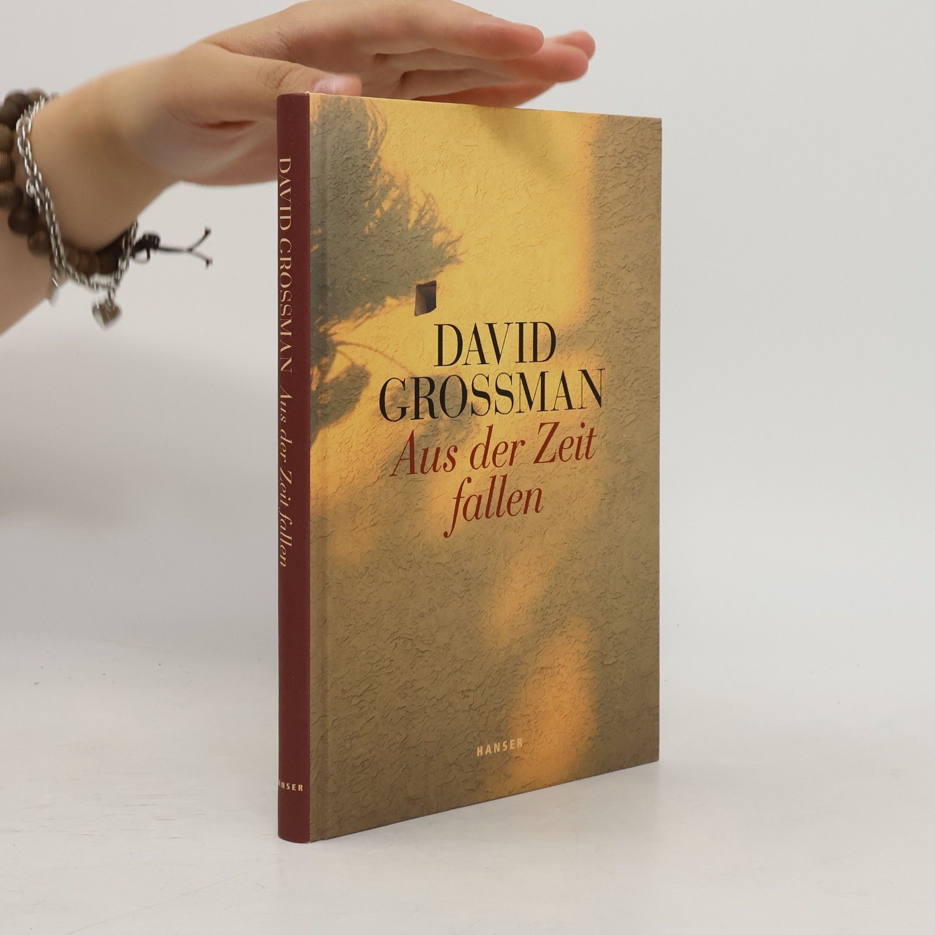 David Grossman Aus der Zeit fallen