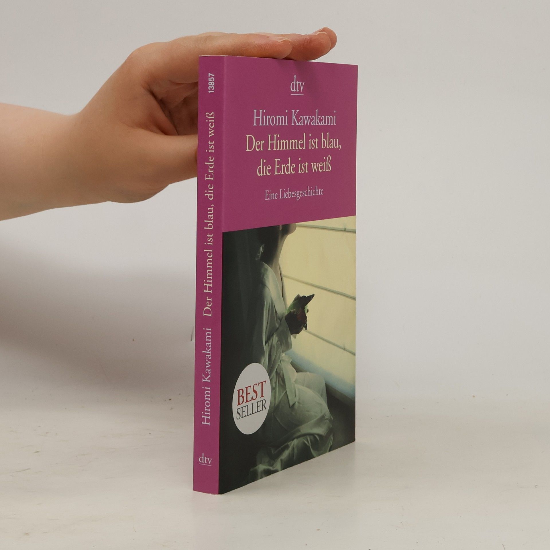 Hiromi Kawakami Der Himmel ist blau, die Erde ist weiß