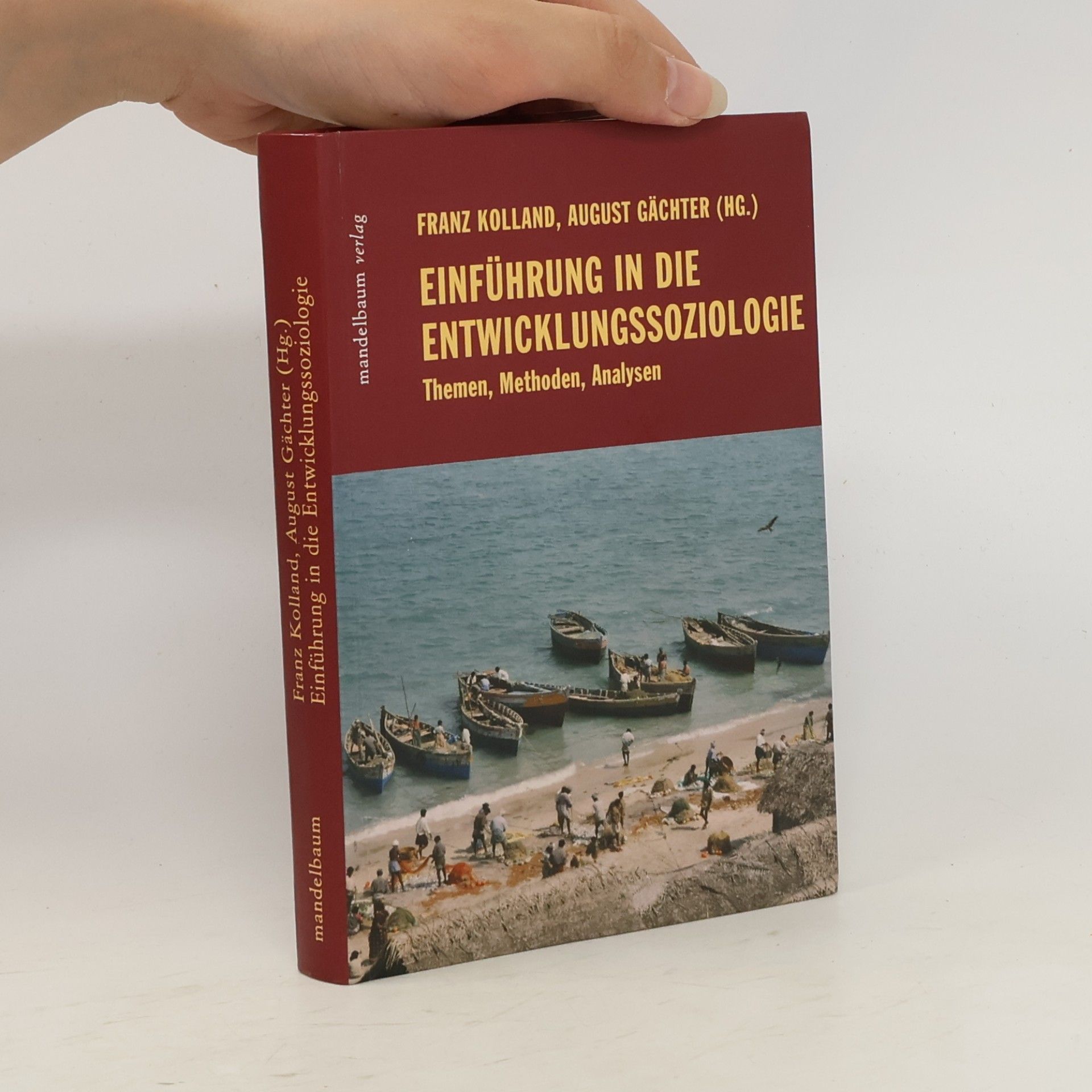 Einführung in die Entwicklungssoziologie