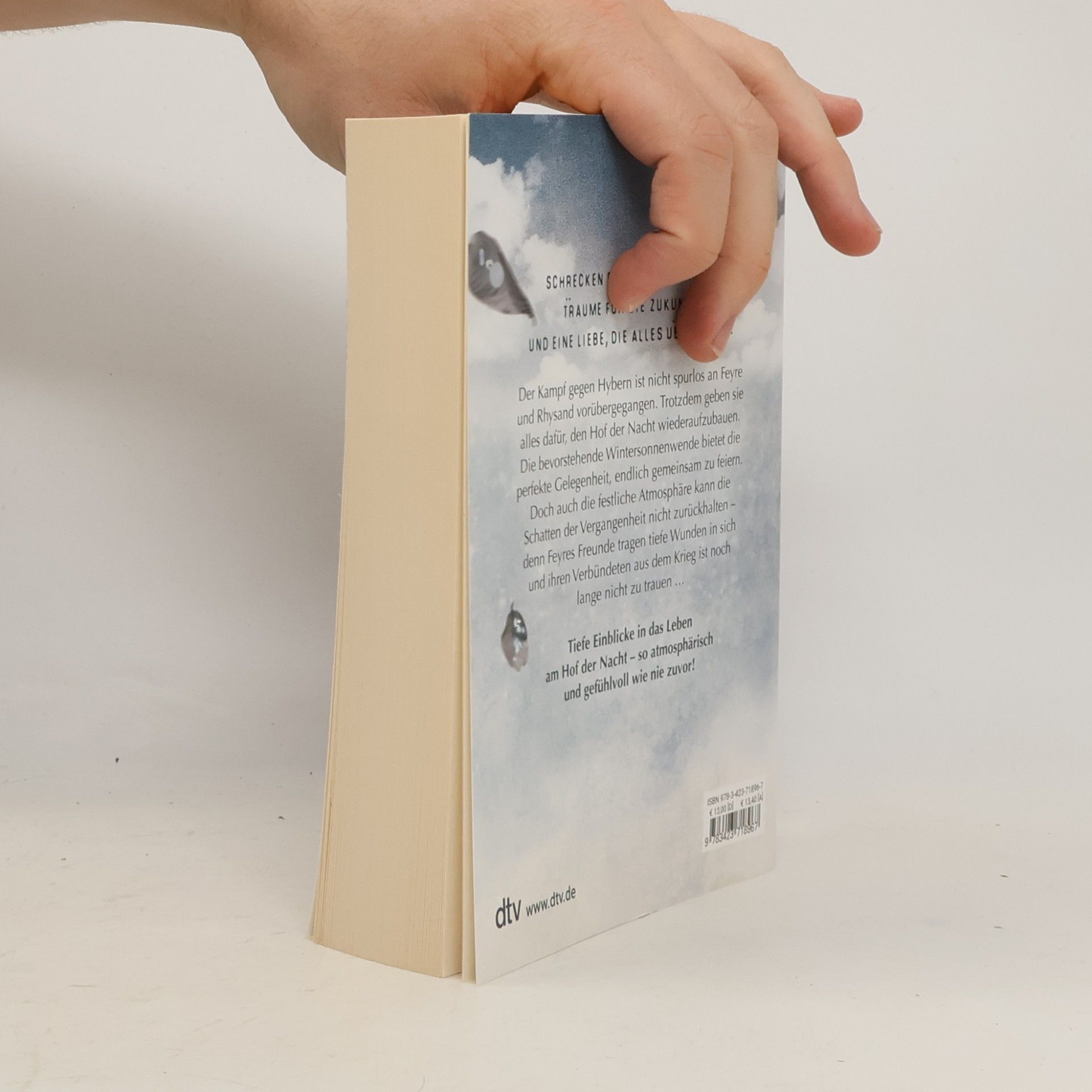 Sarah J. Maas Das Reich der Sieben Höfe: Frost und Mondlicht
