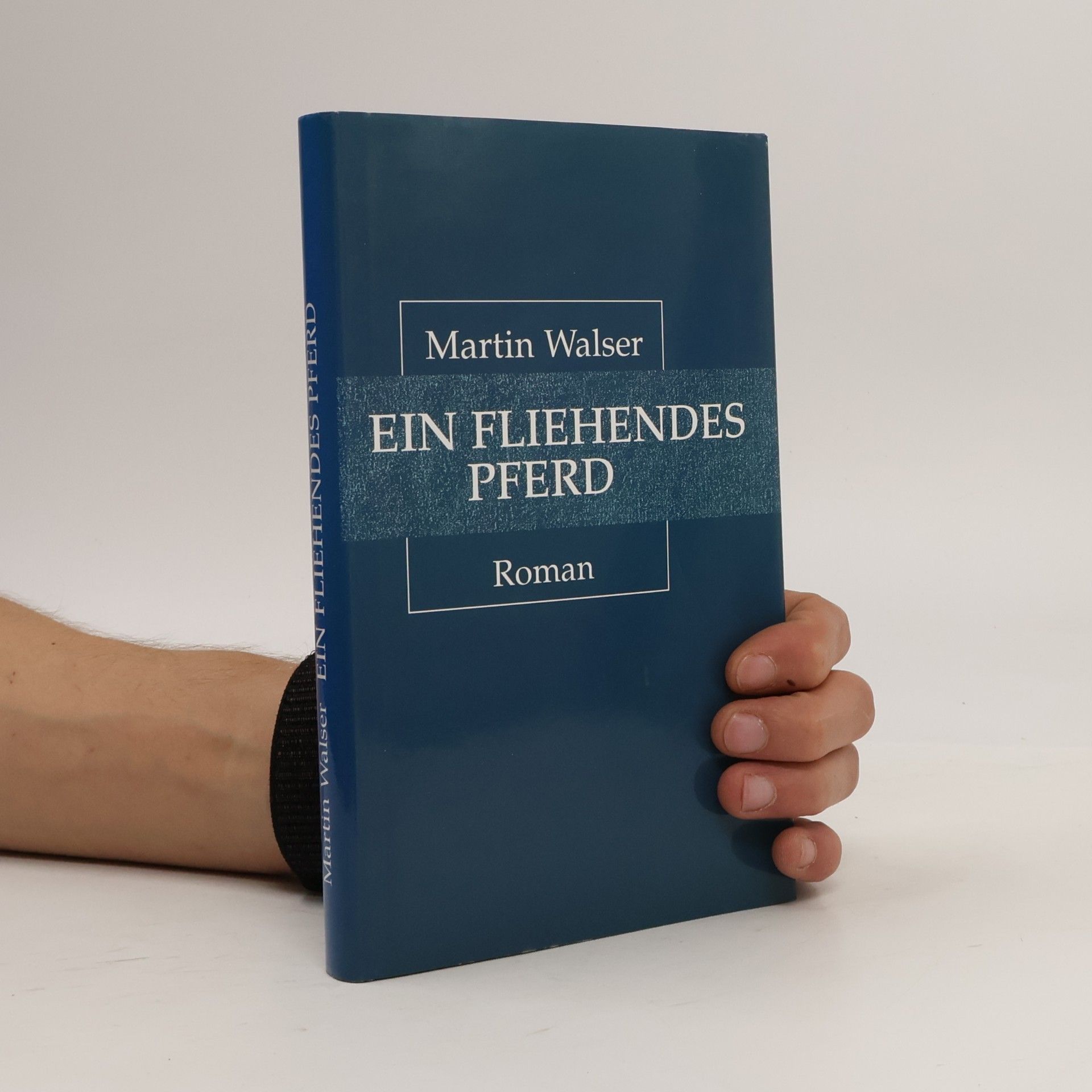 Martin Walser Ein fliehendes Pferd