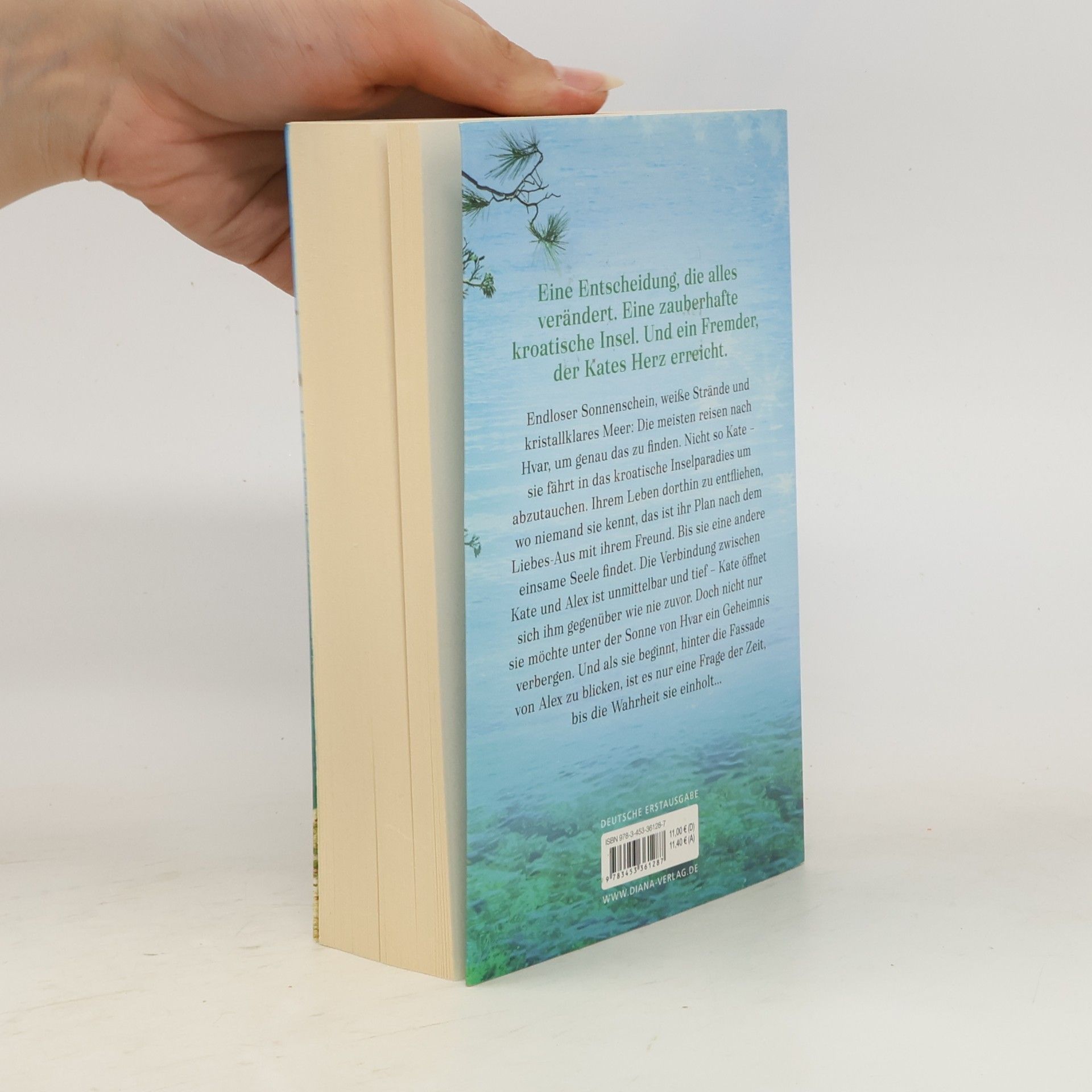 Isabelle Broom Die Insel der Herzen