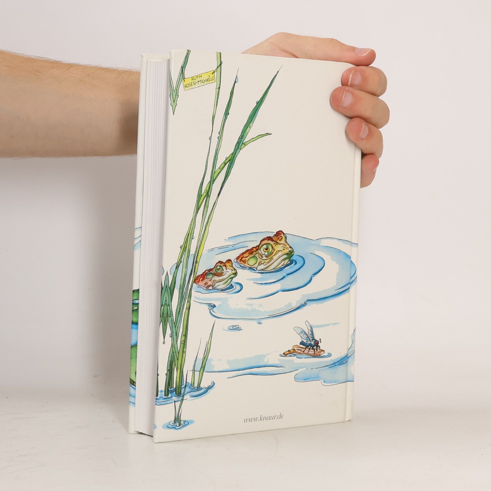 Hans Christian Andersen Andersens Märchen