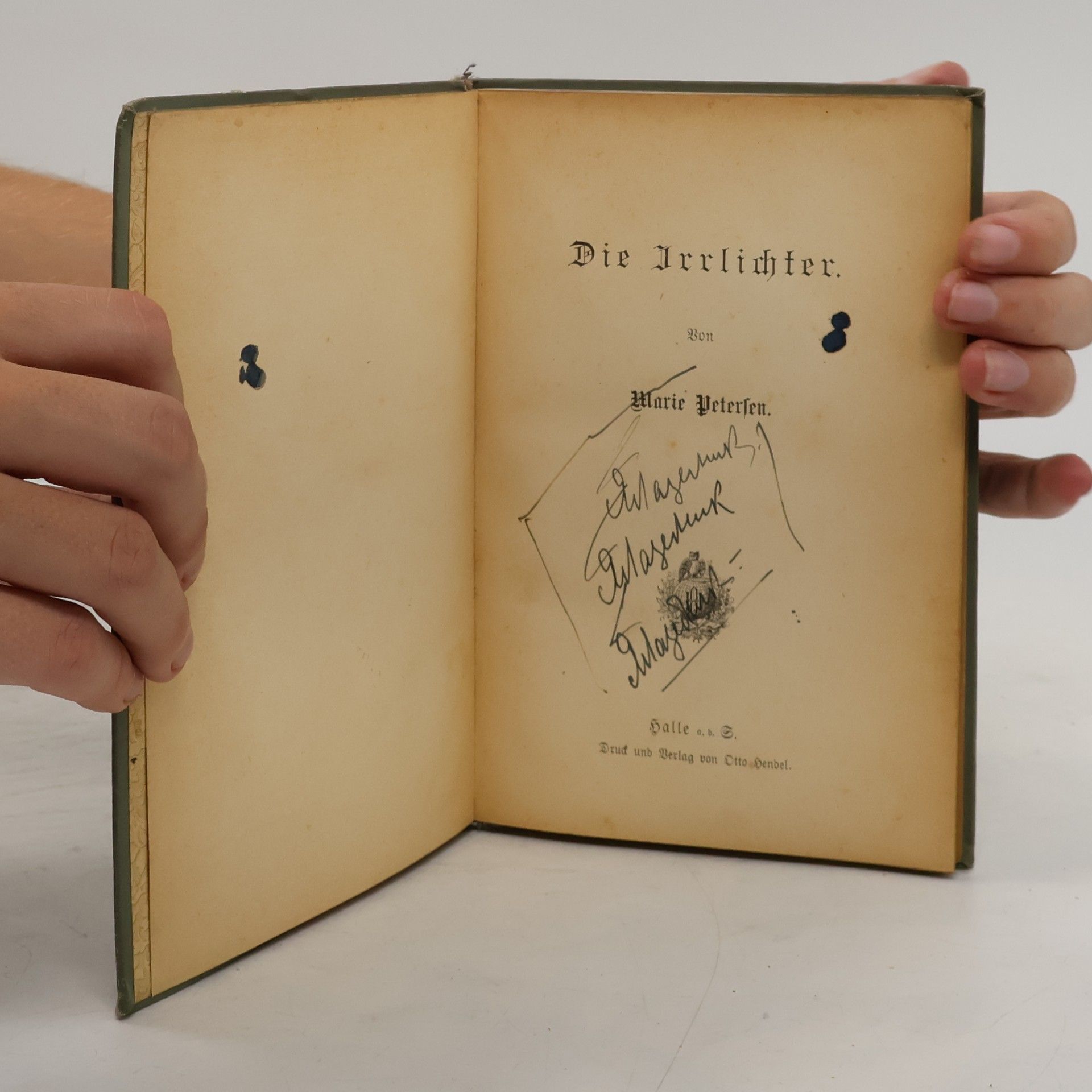 Marie Petersen Die Irrlichter