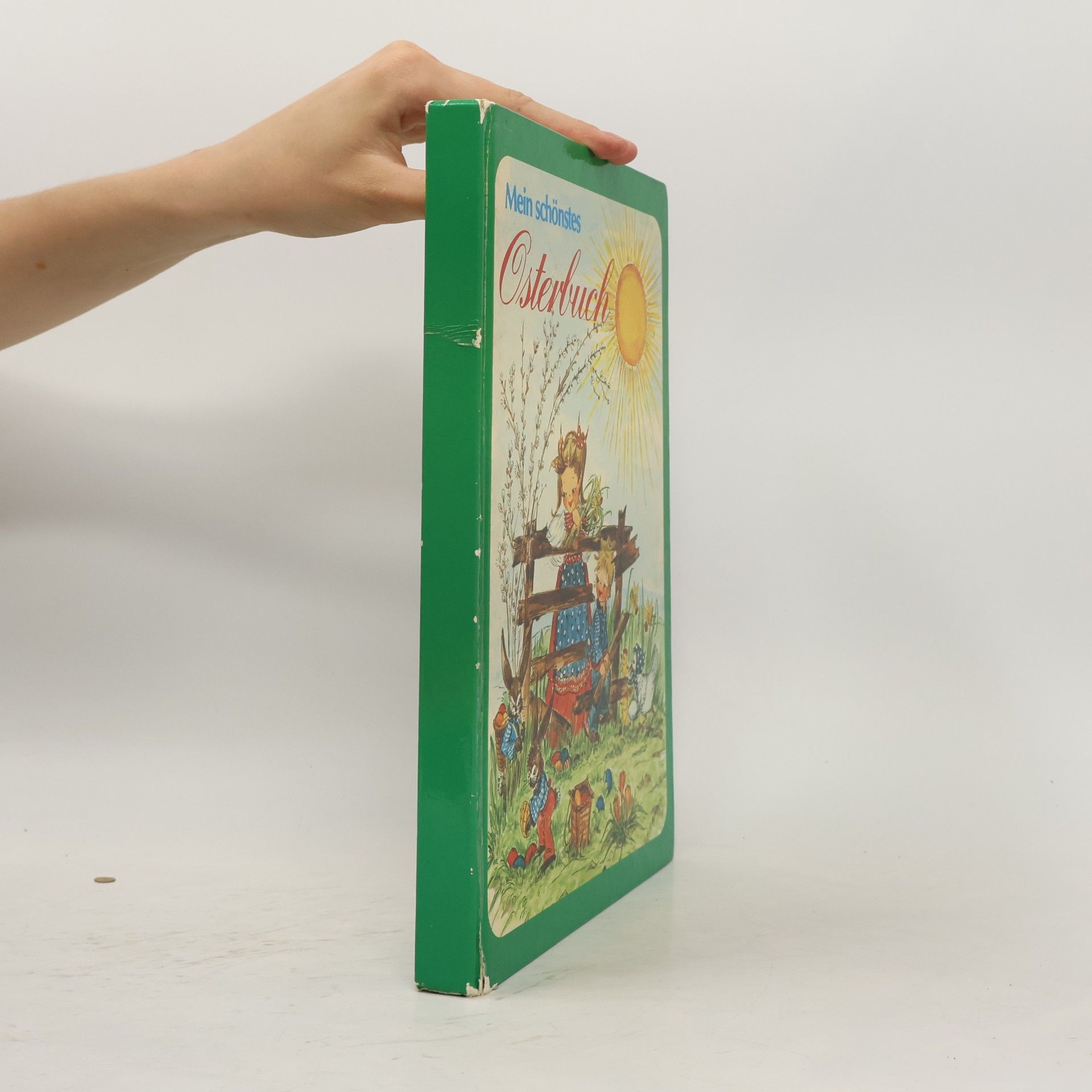 Collectif d'auteurs Mein schönstes Osterbuch