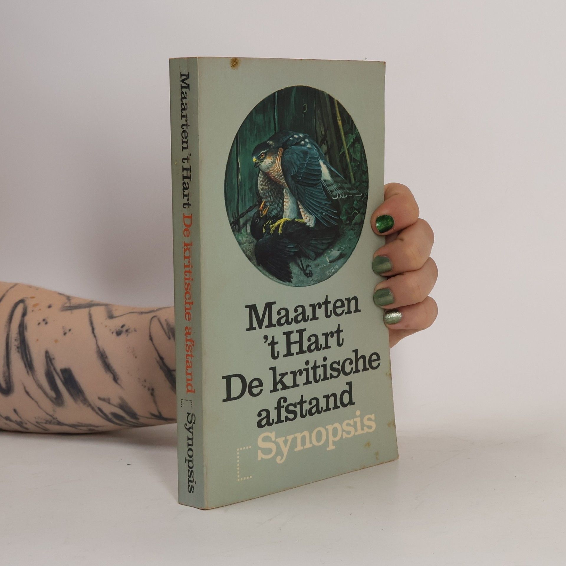 Maarten 't Hart De kritische afstand
