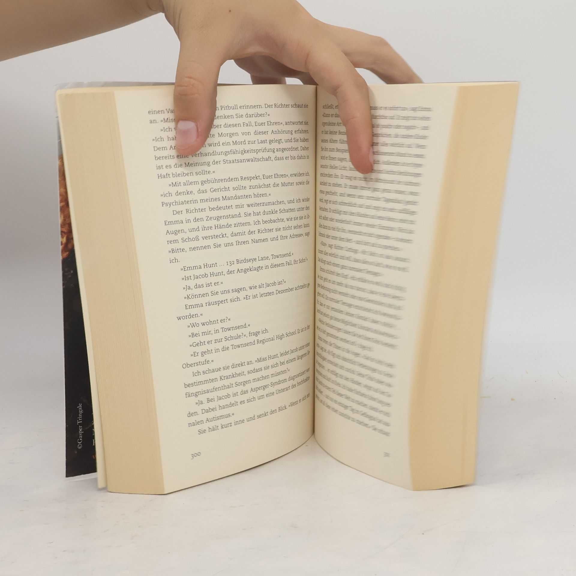 Jodi Picoult In den Augen der anderen