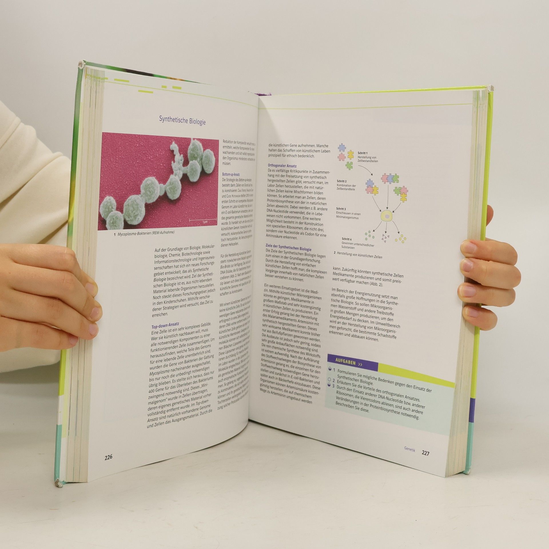 Natura - Oberstufe, Biologie für Gymnasien