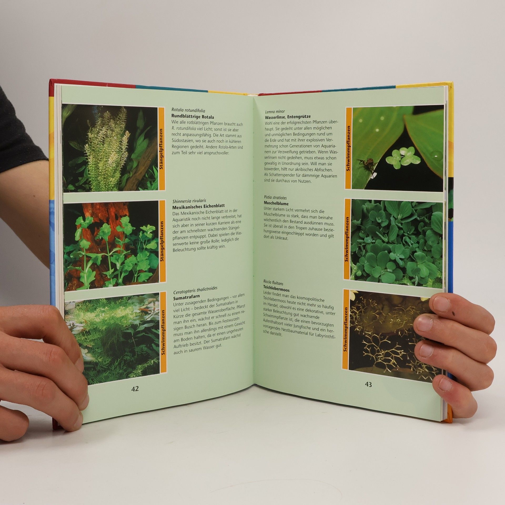 Claus Schaefer DATZ-Aquarienbücher: Grundkurs Aquaristik