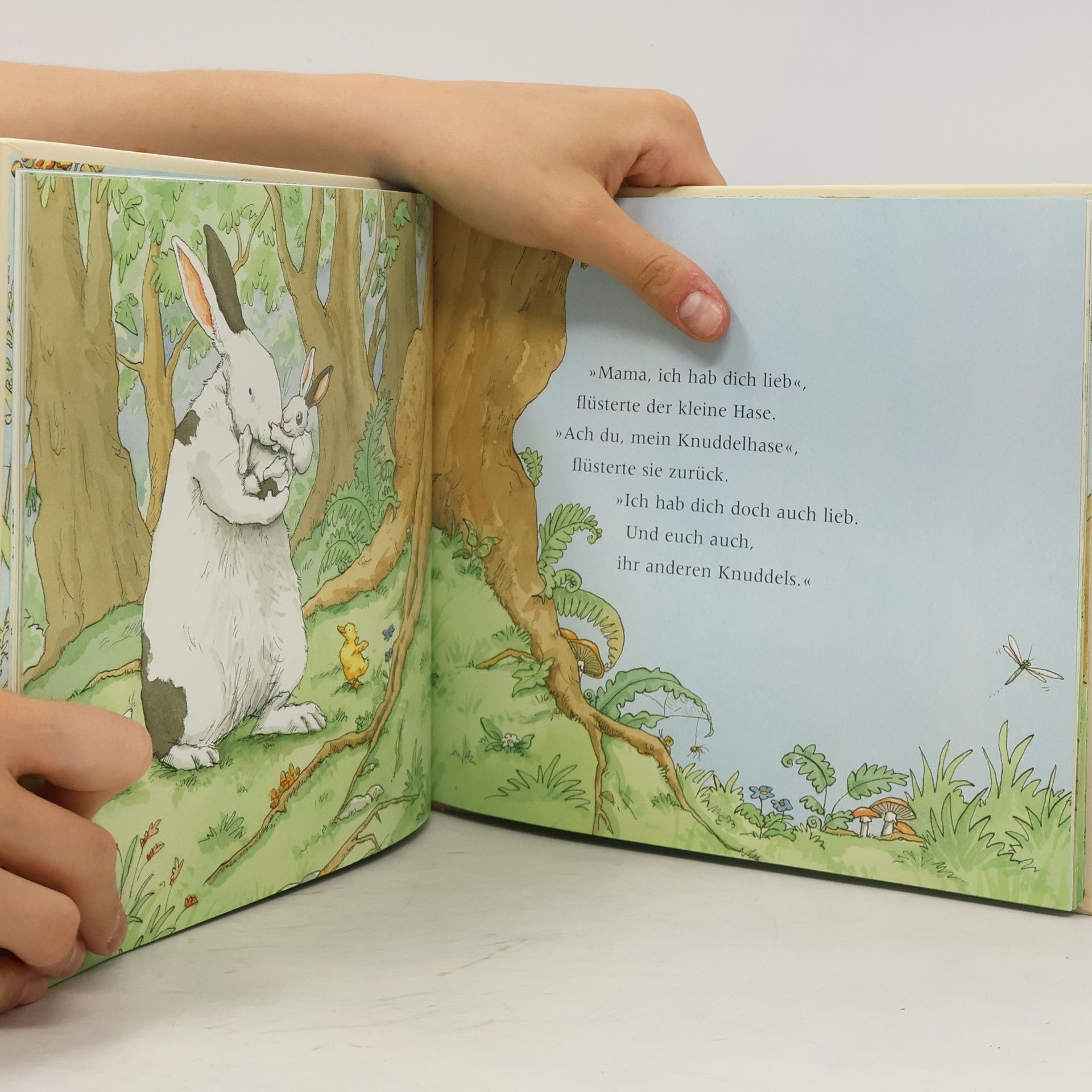 Anita Jeram Du bist mein Knuddelhase