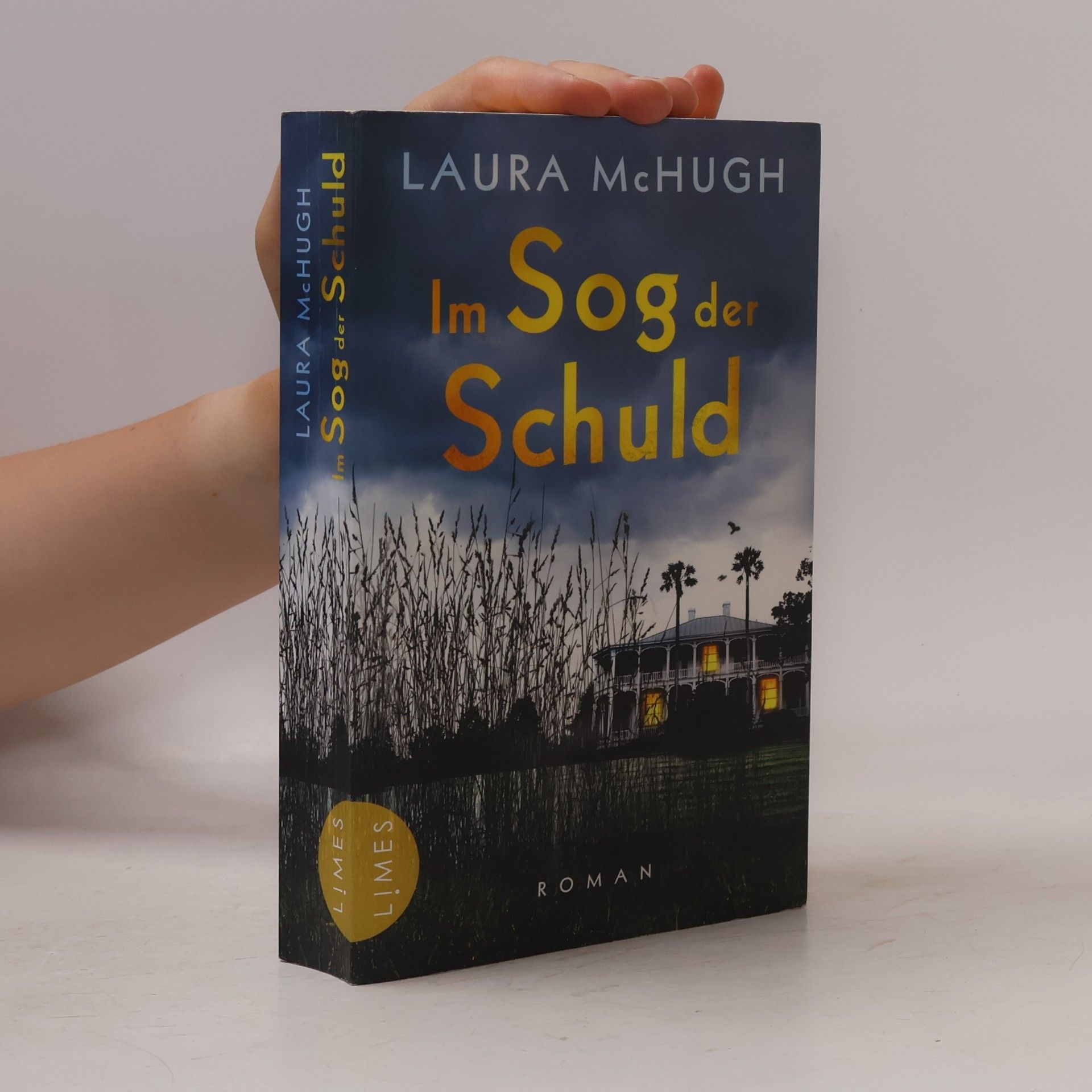 Laura McHugh Im Sog der Schuld