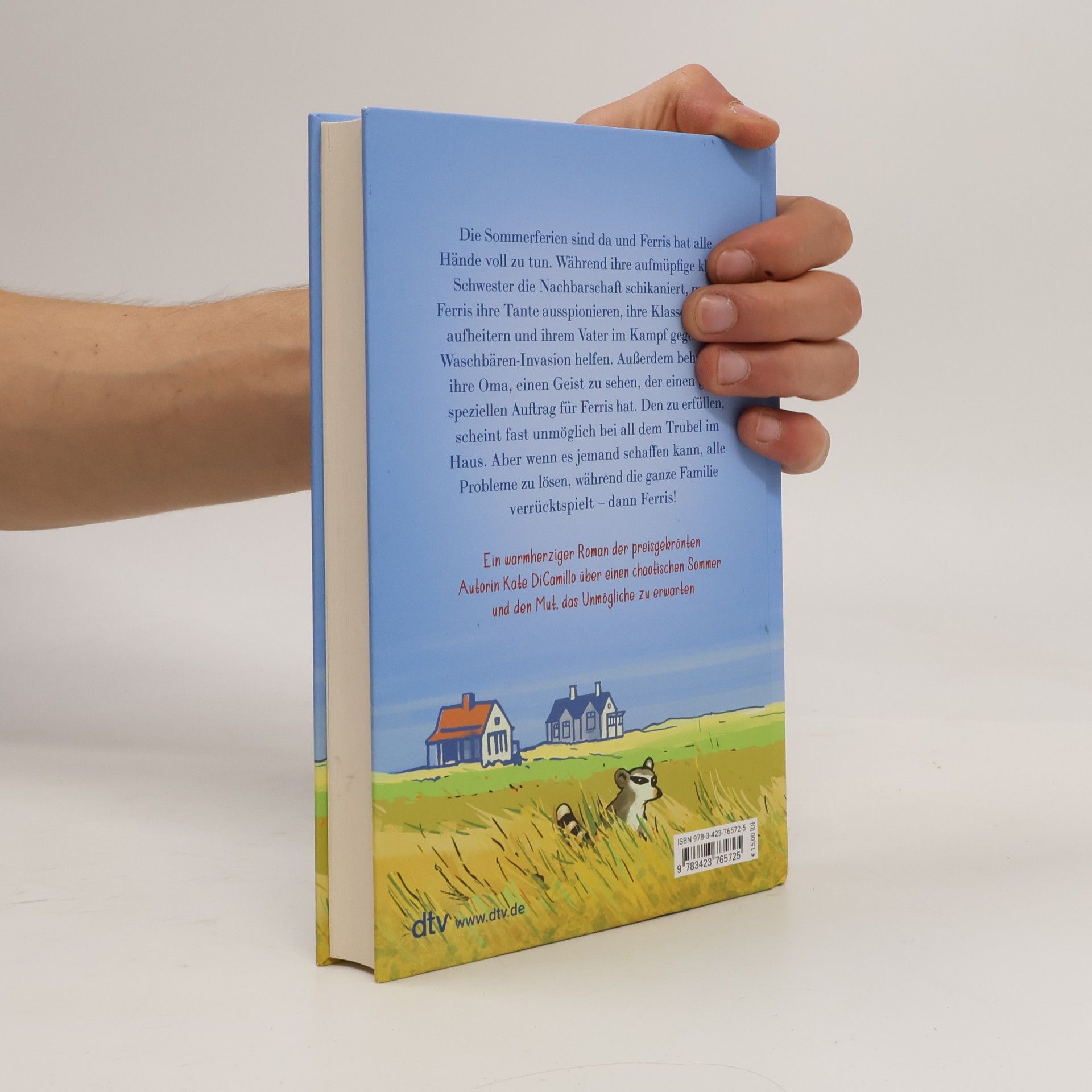 Kate DiCamillo Der Sommer der unmöglichen Dinge