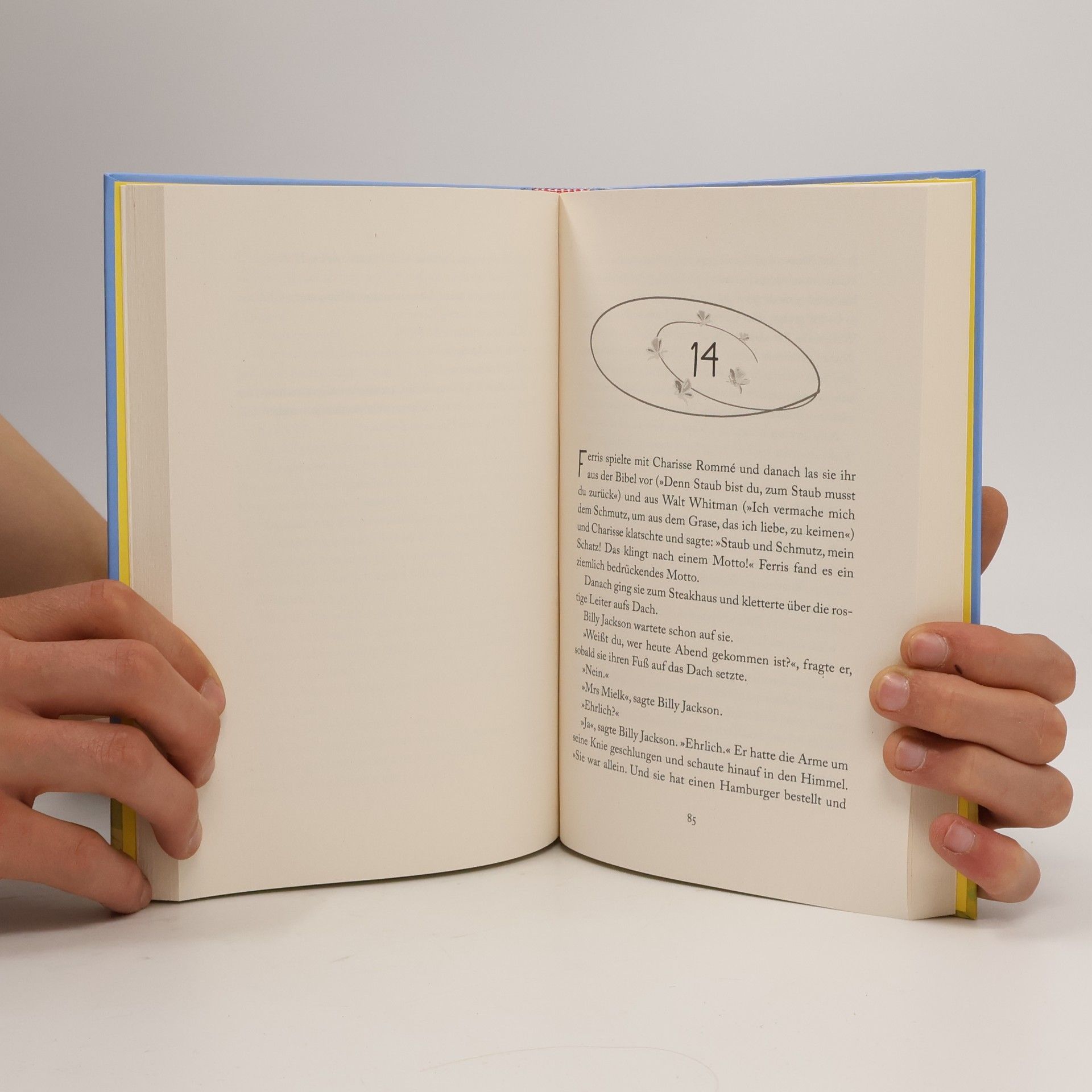 Kate DiCamillo Der Sommer der unmöglichen Dinge
