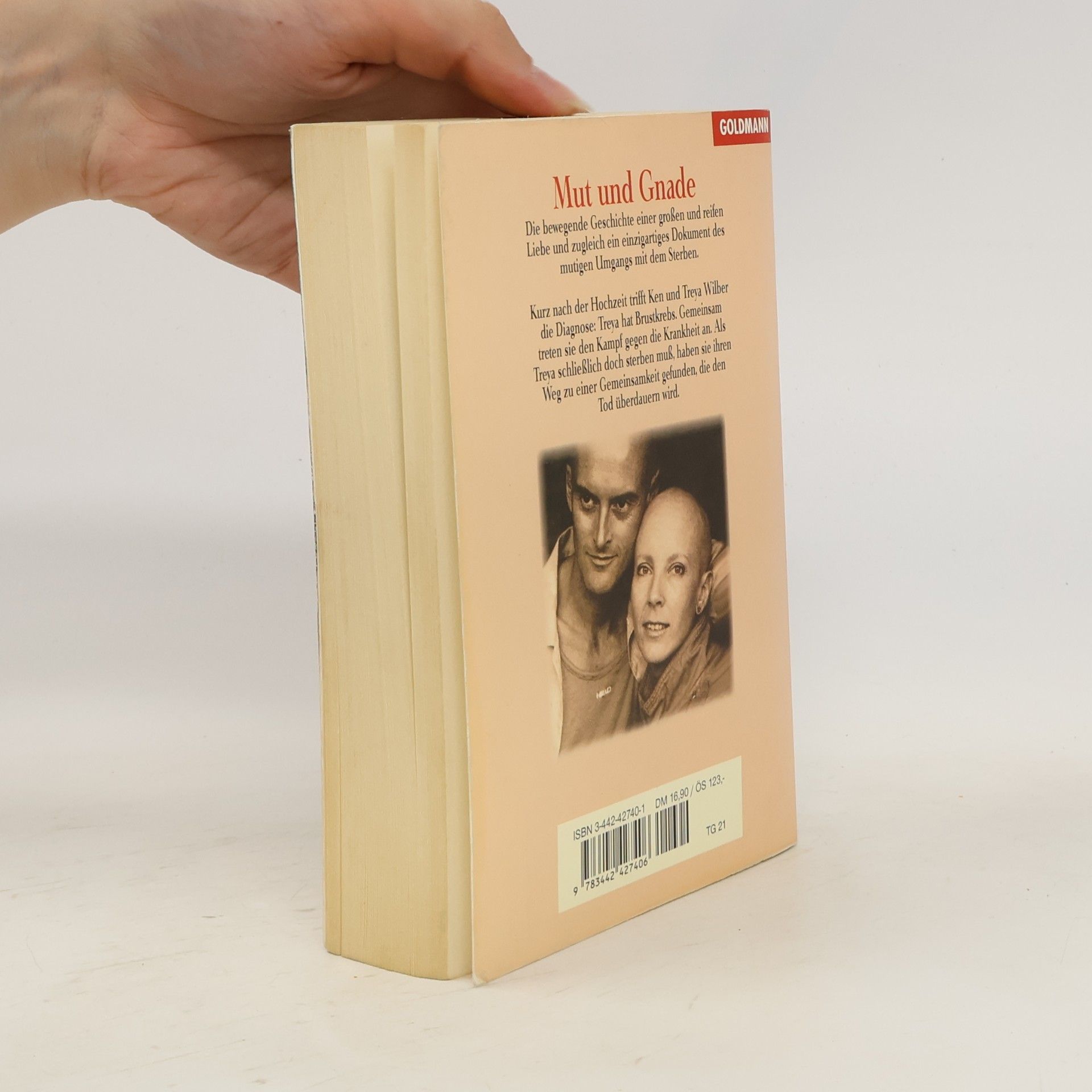 Ken Wilber Mut Und Gnade