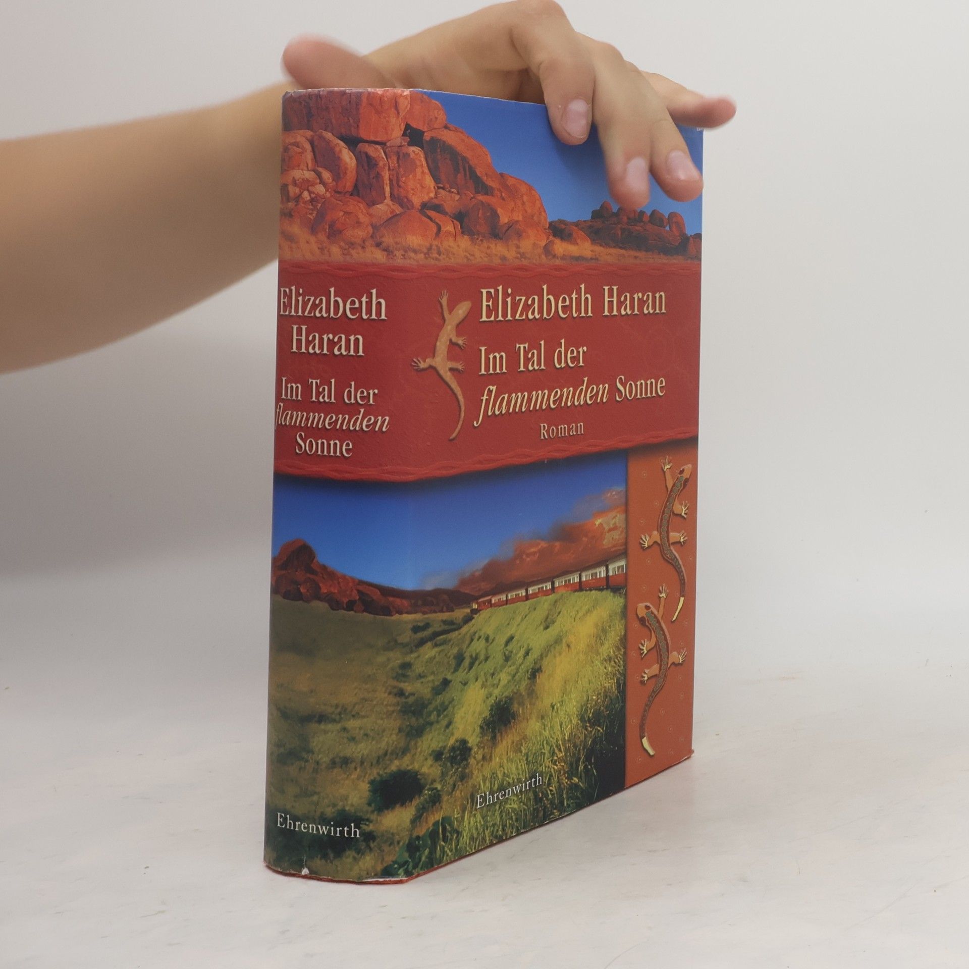 Elizabeth Haran Im Tal der flammenden Sonne