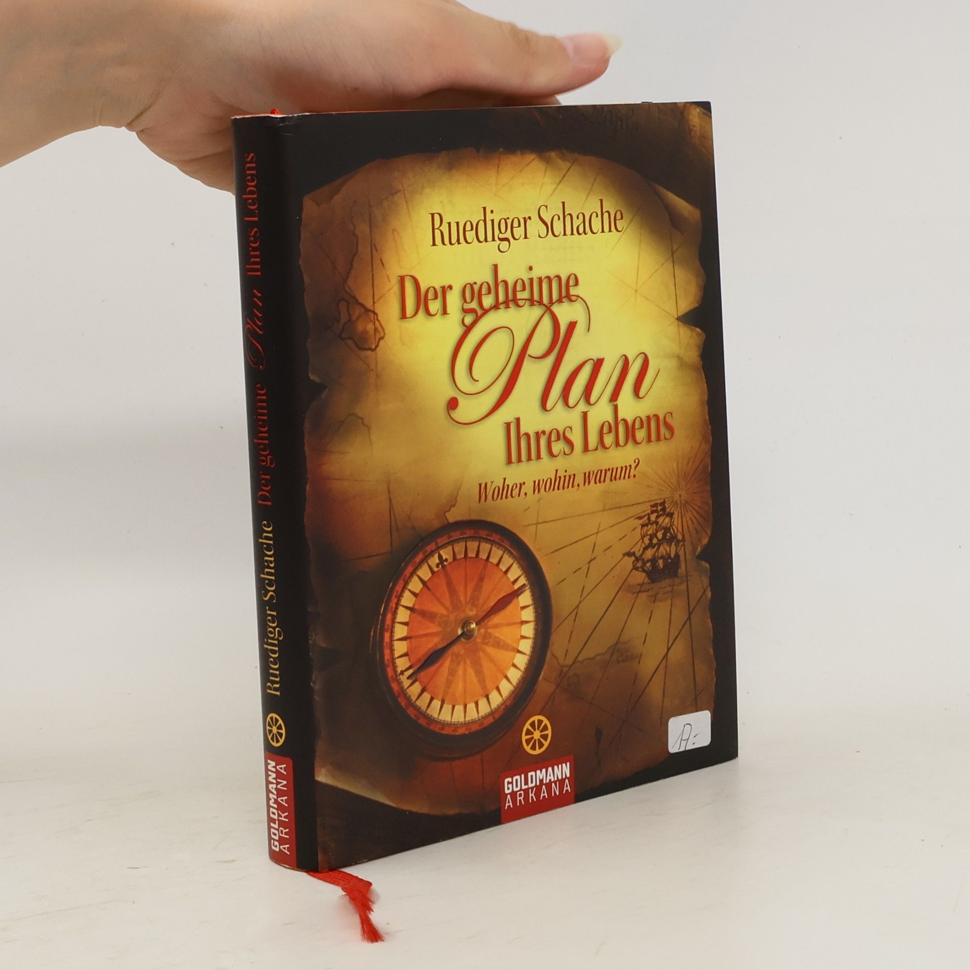 Ruediger Schache Der geheime Plan Ihres Lebens