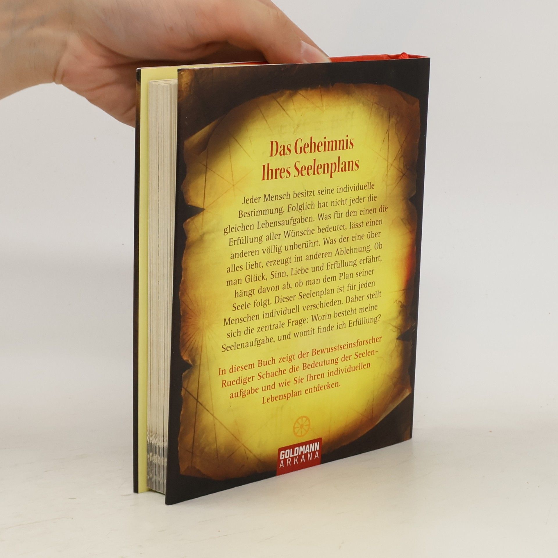 Ruediger Schache Der geheime Plan Ihres Lebens