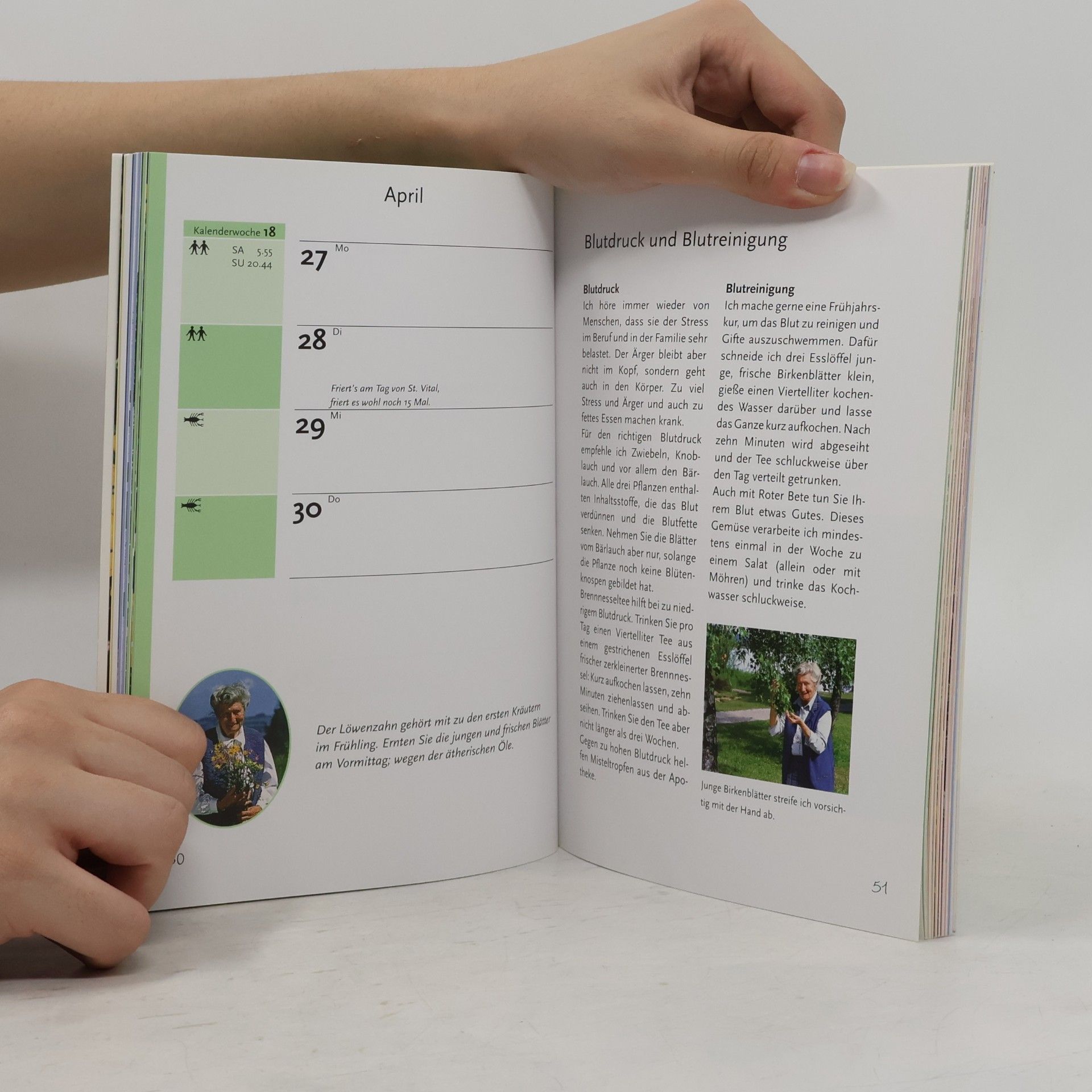 Eva Aschenbrenner Eva Aschenbrenner Jahrbuch 2009