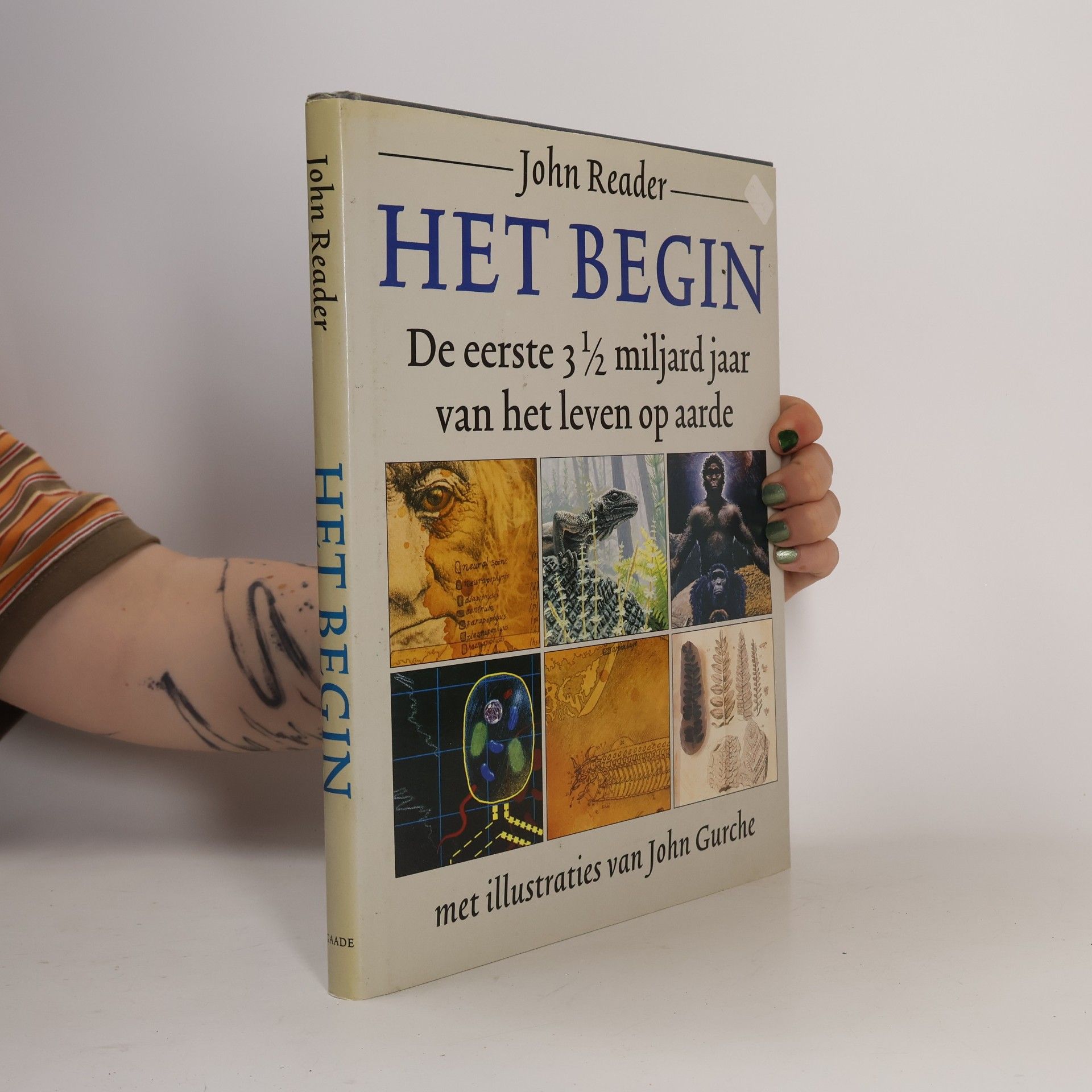 Het Begin